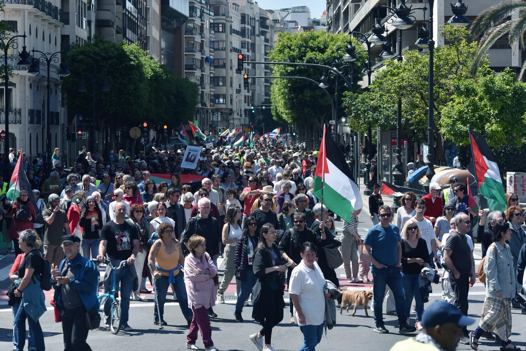 Manifestaciones País Valenciá solidaridad con Palestina 20-21 abril  - 11