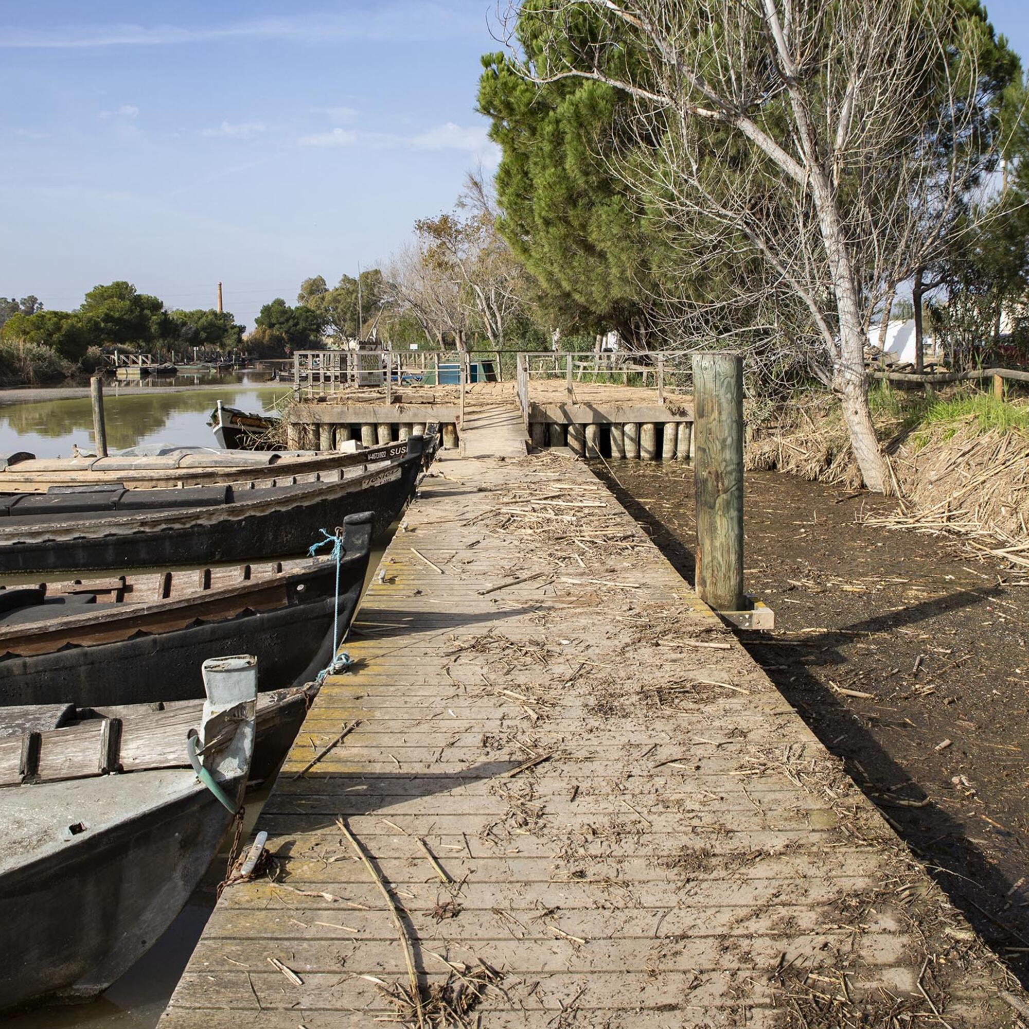 Efectos Dana Albufera - 7