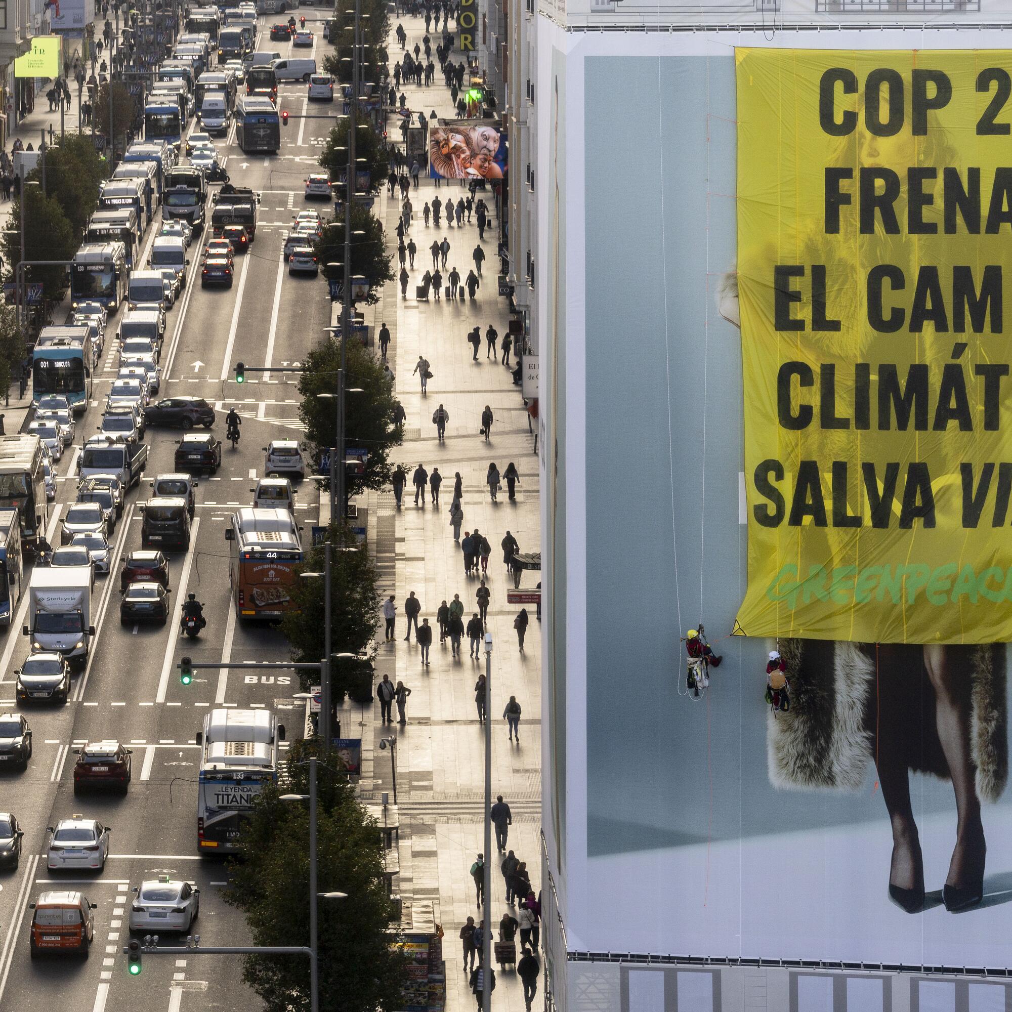 cop 29 greenpeace