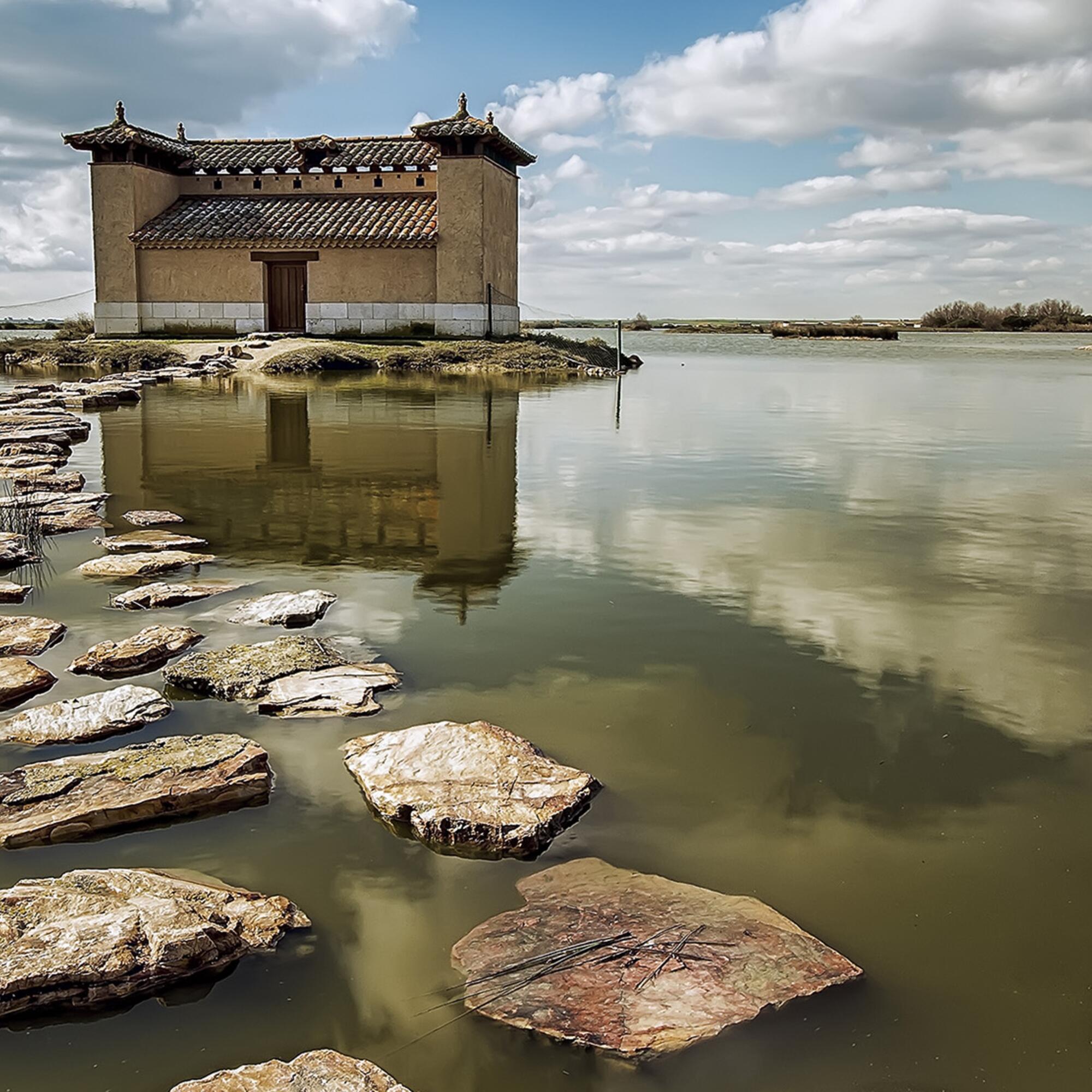 Lagunas de Villafáfila Zamora