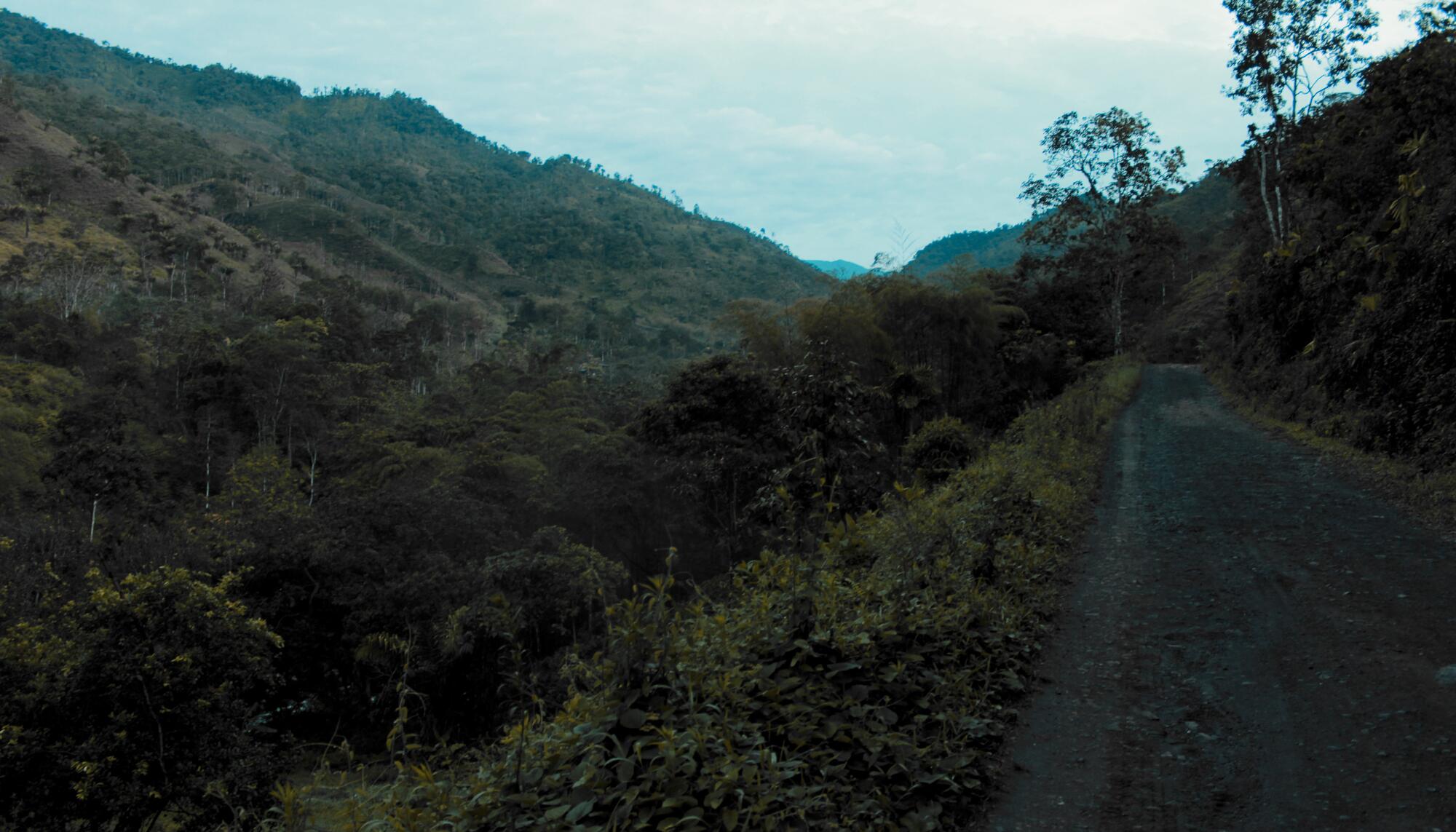 Carretera desde Chontal hacia Brilla Sol en la Amazonía ecuatoria.