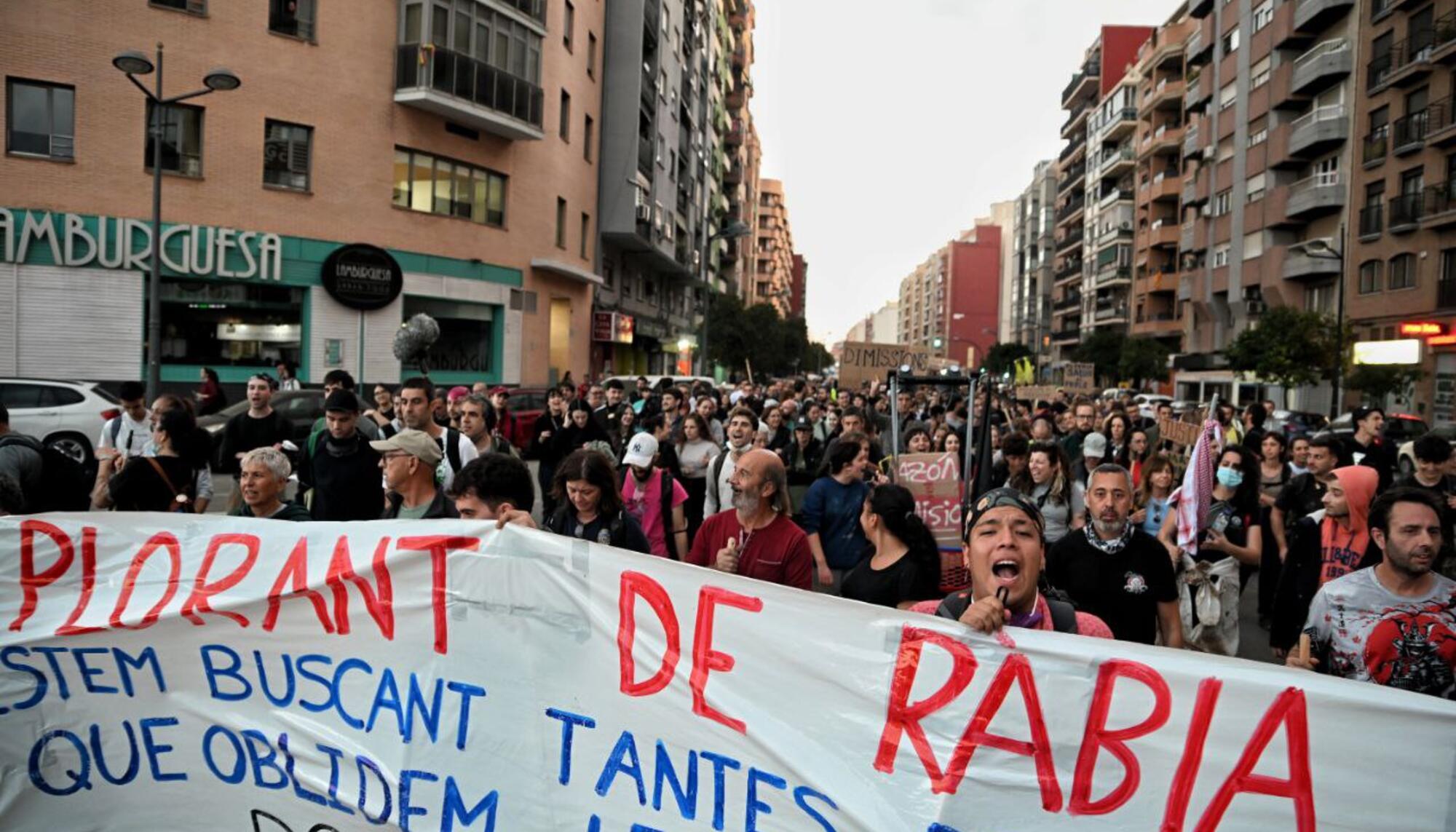 Valencia Manifestación - 4