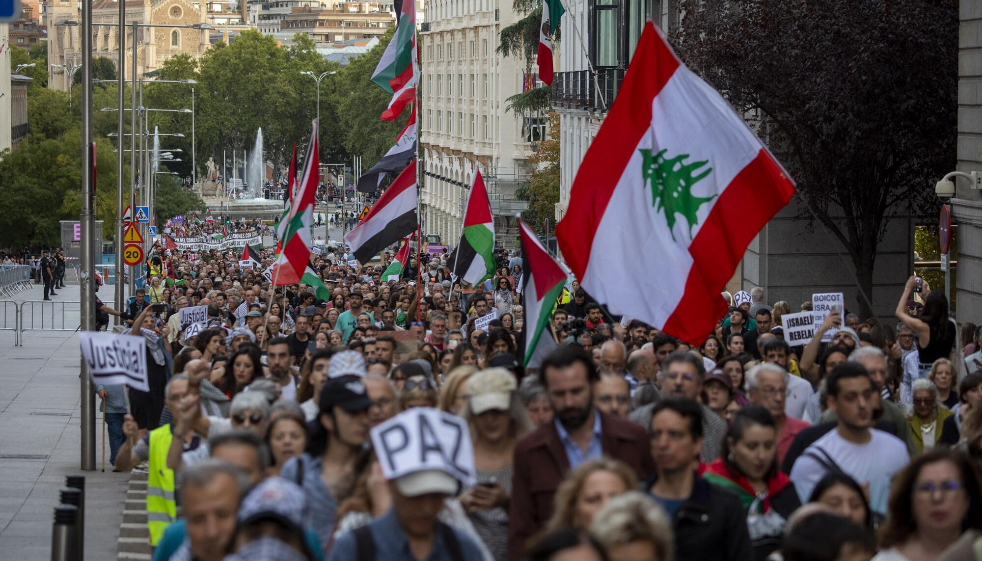 Manifestación Palestina 05-10-24 - 9