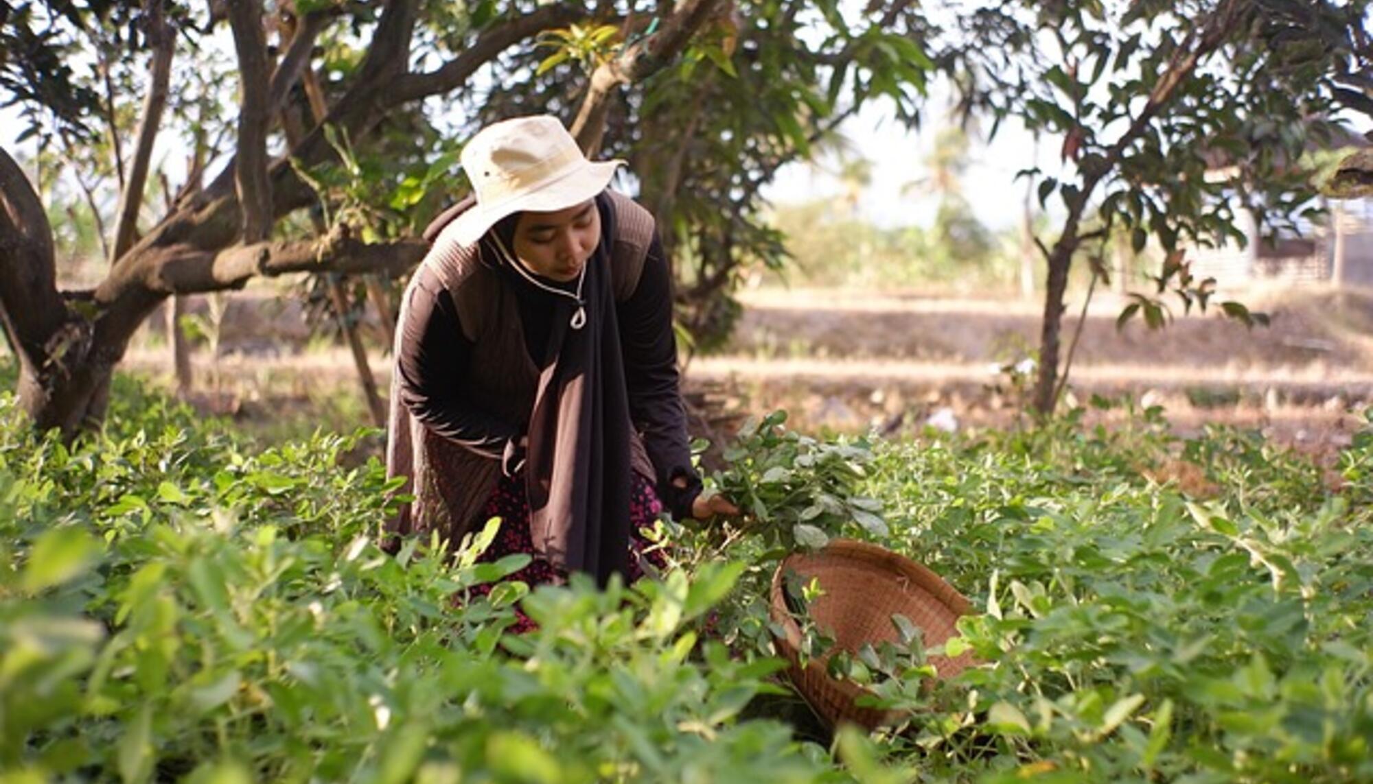 Mujer campesina