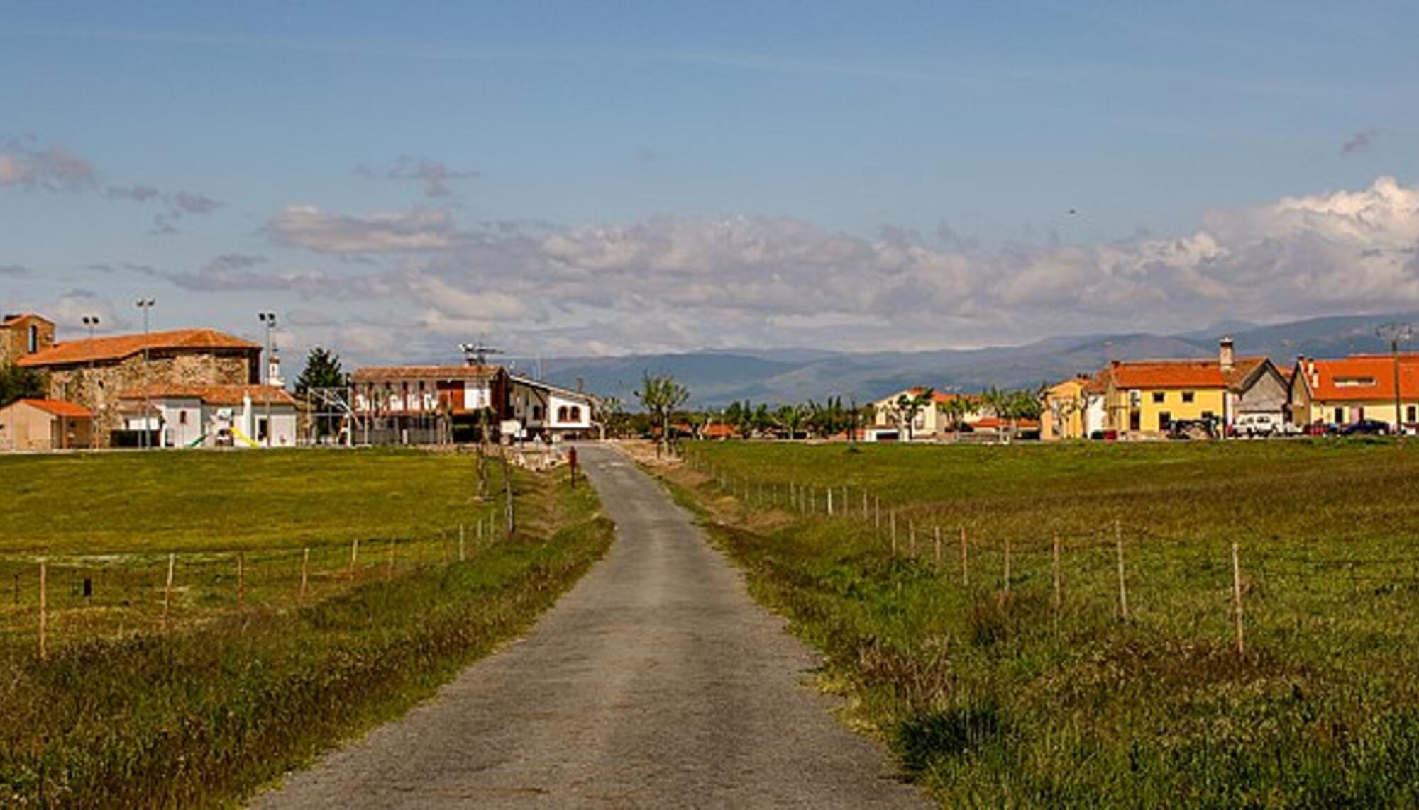 Toril Campo Arañuelo