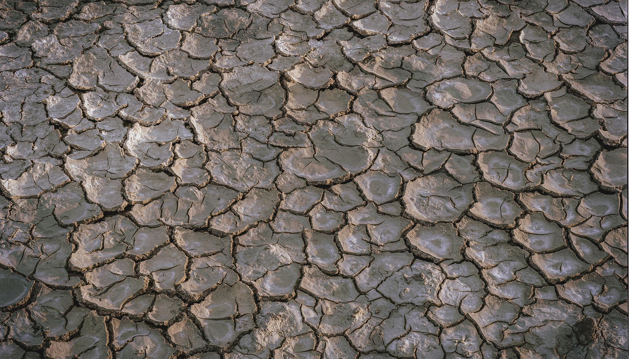 Árida: crisis climática y desertificación en el sureste ibérico - 11