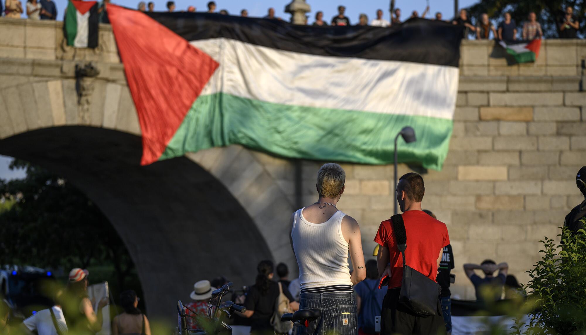 Bandera gigante Palestina - 7