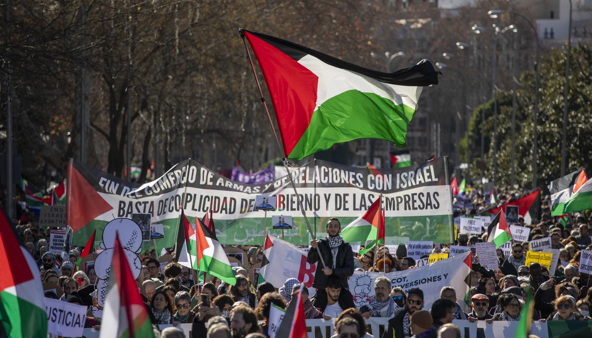Más de 50.000 personas en Madrid contra el genocidio en Gaza y en apoyo al pueblo palestino - 14