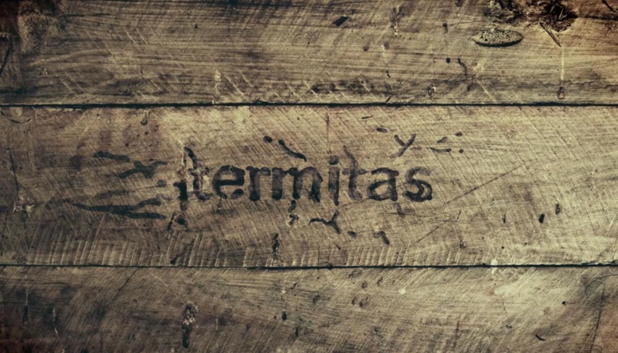 Termitas