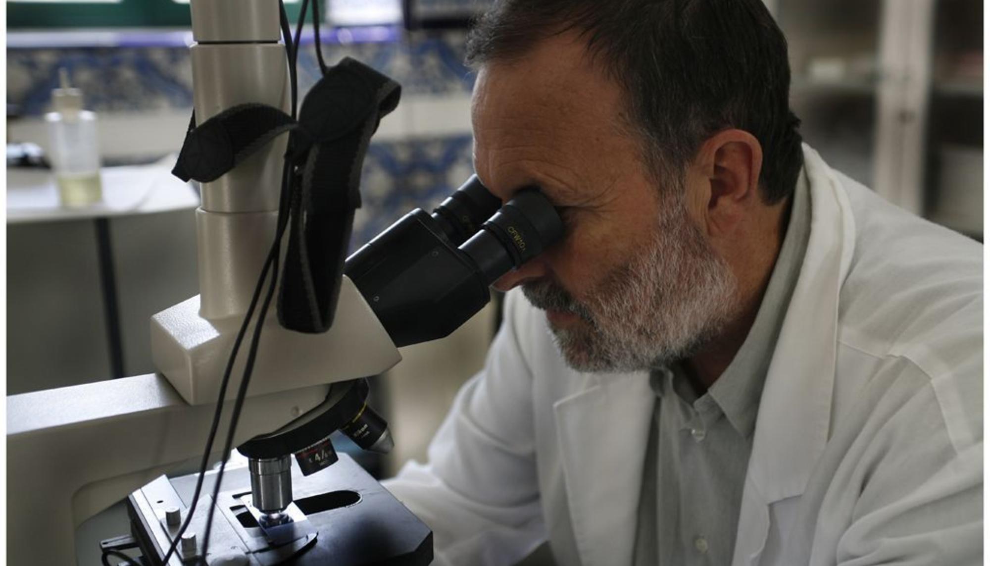 Pedro Torres Muñoz trabajando en el laboratorio de Fontilles