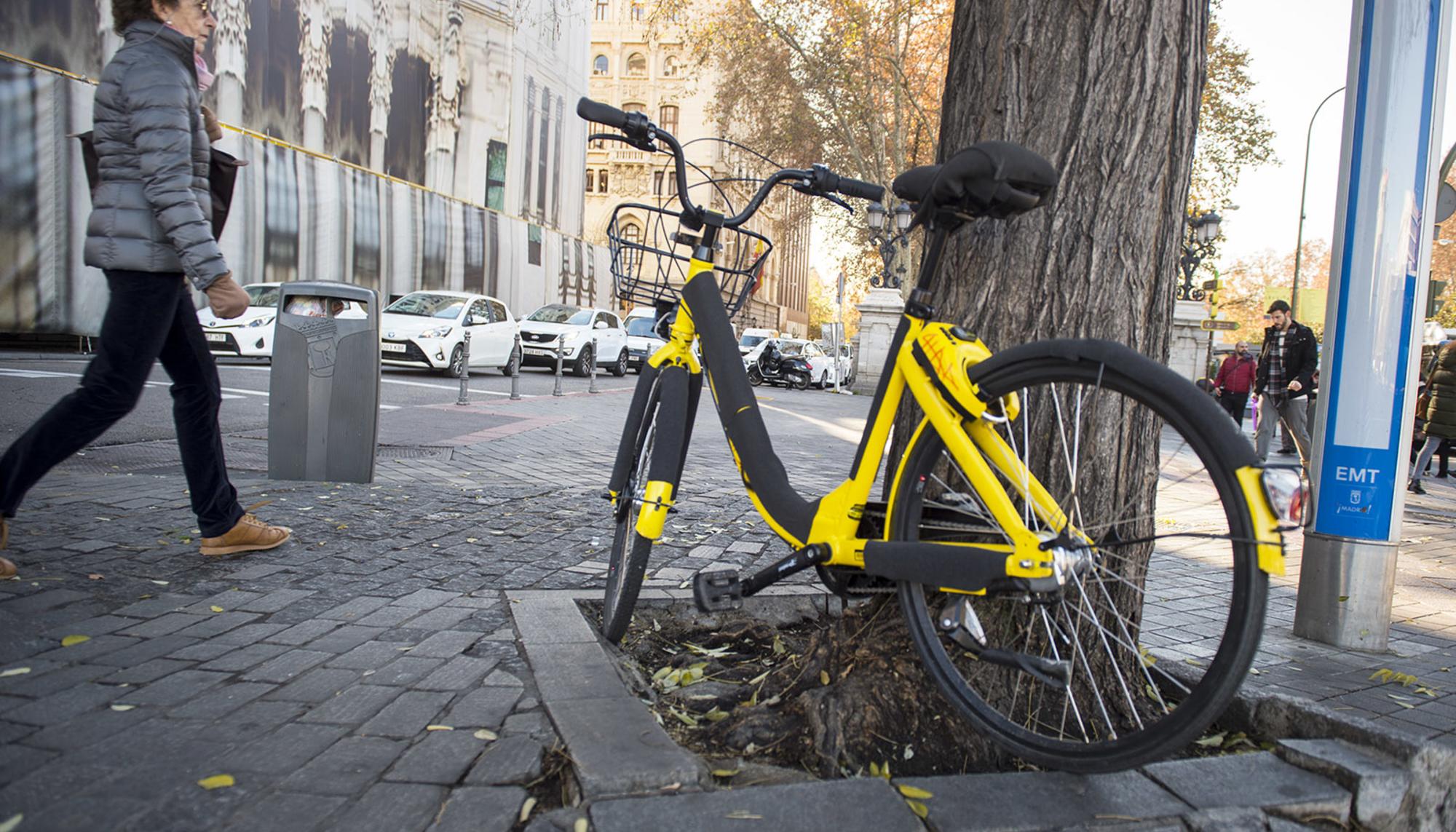 Bicicleta abandonada en un alcorque frente al Ayuntamiento de Madrid