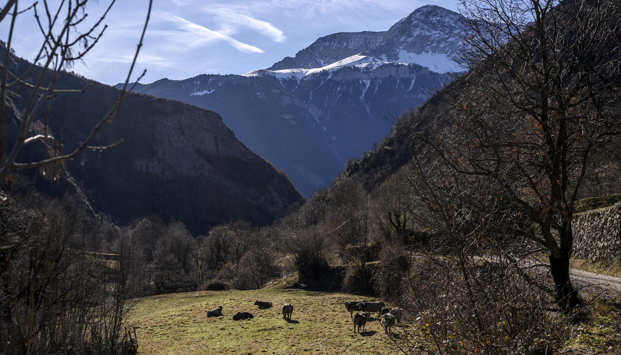 Huesca Pirineo rural - 8