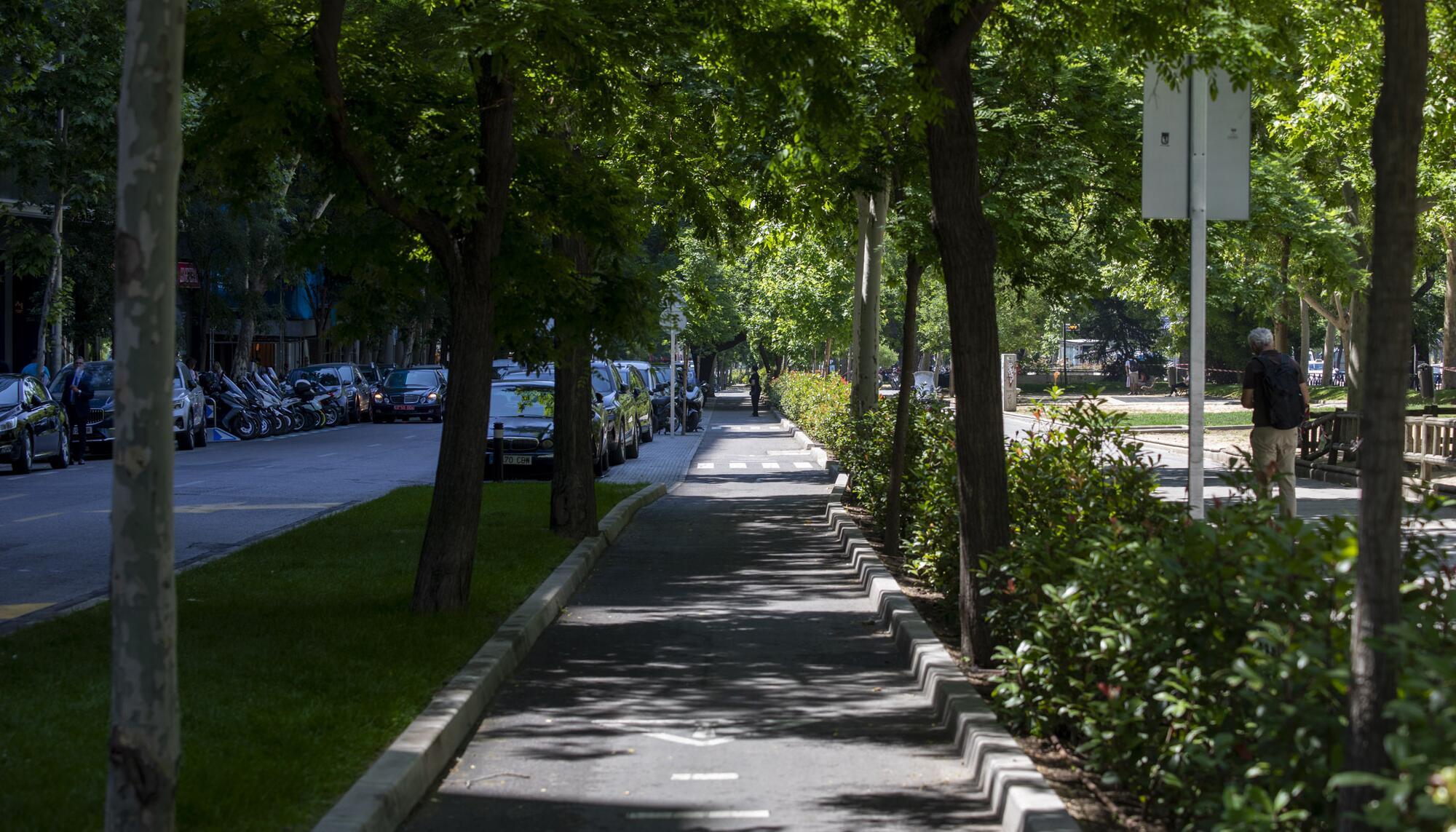 Varios Bernabeu Carril bici - 16