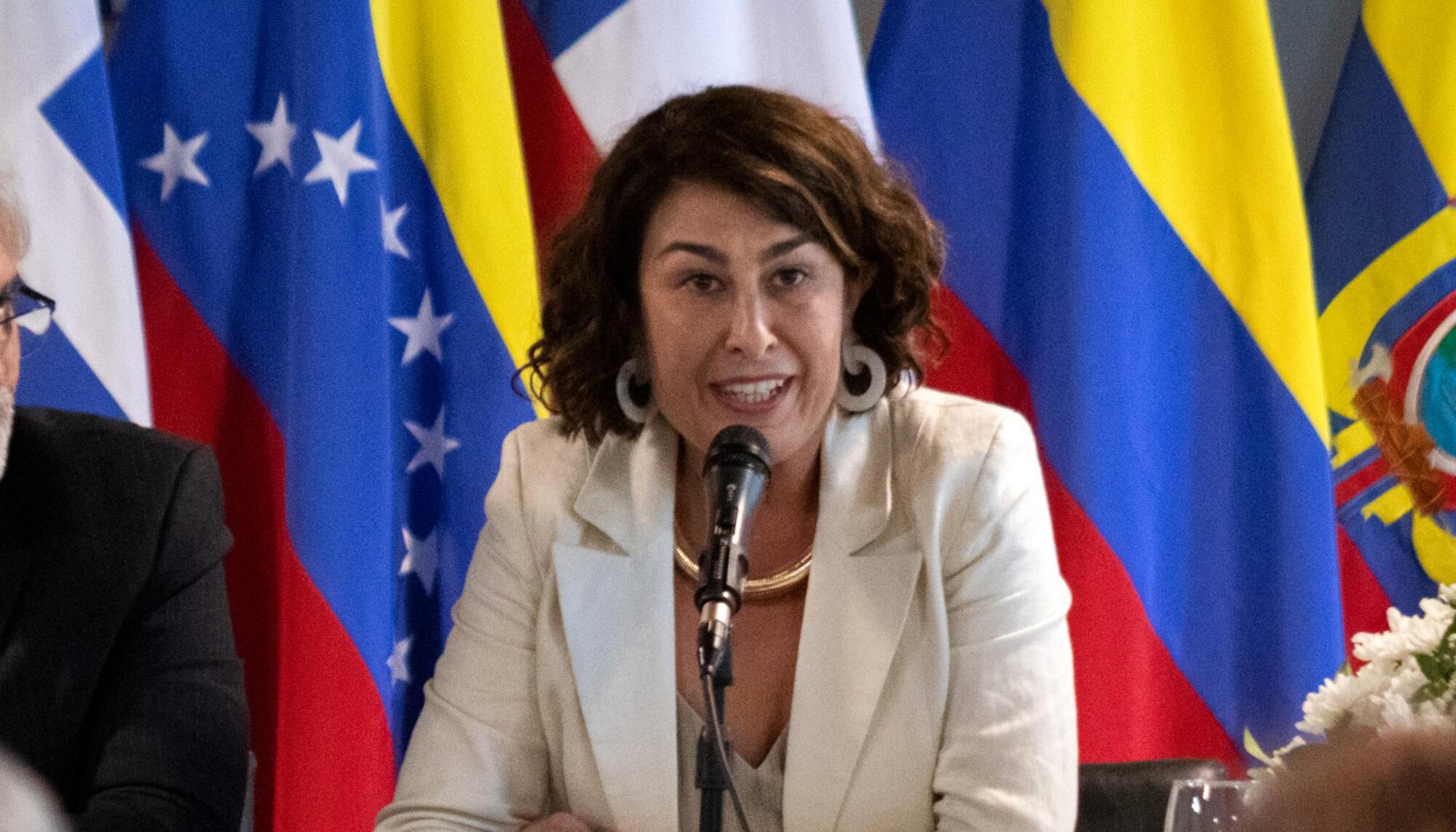 Andressa Caldas, directora del Instituto de Políticas Públicas en Derechos Humanos (IPPDH) del Mercosur.