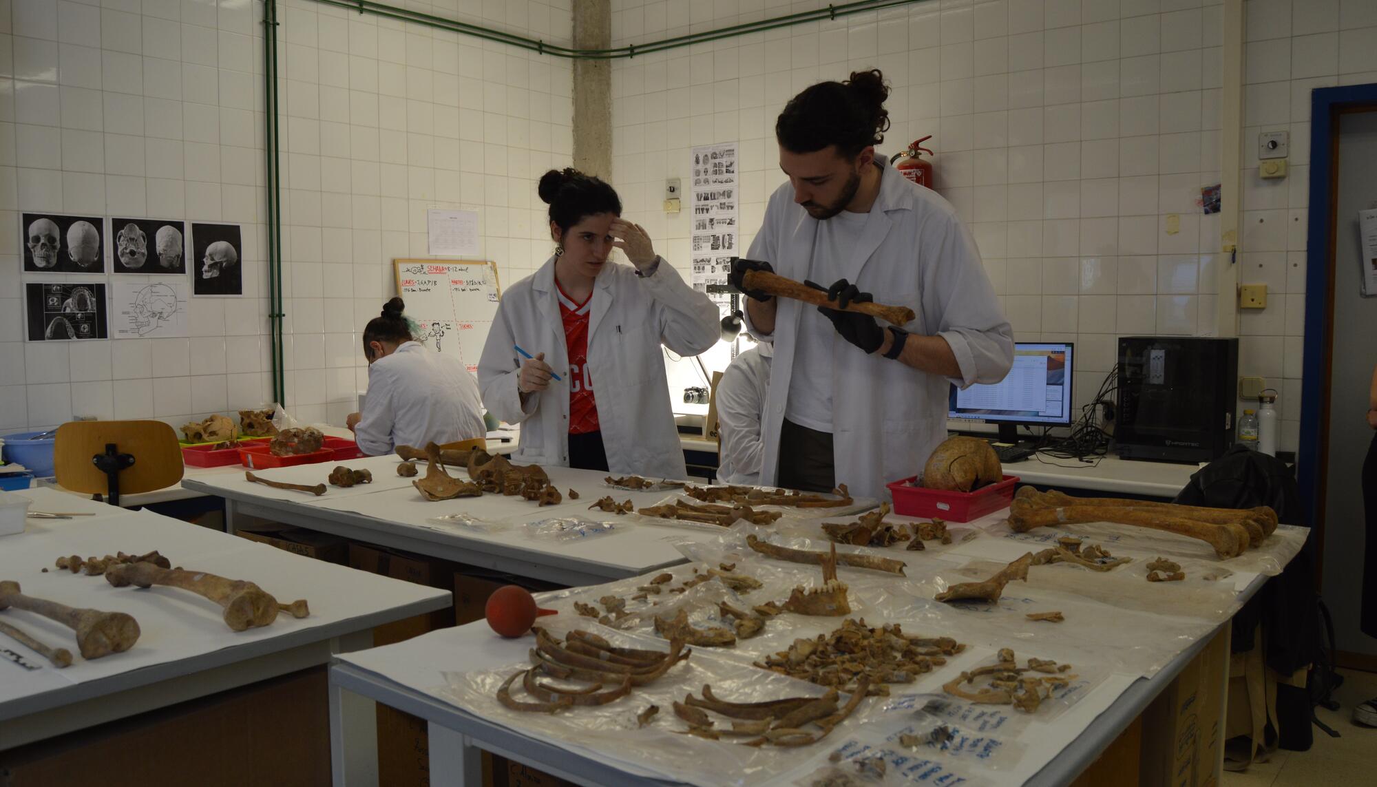 laboratorio fosas