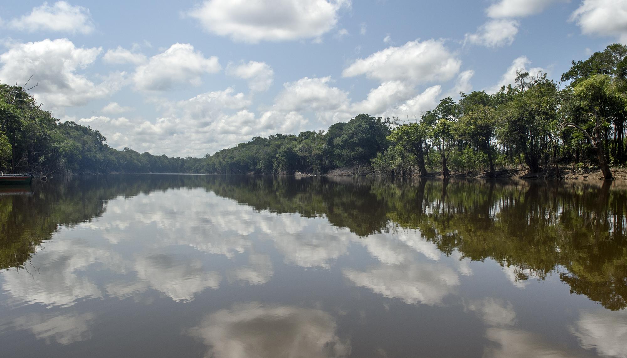 Amazonas rio - 3