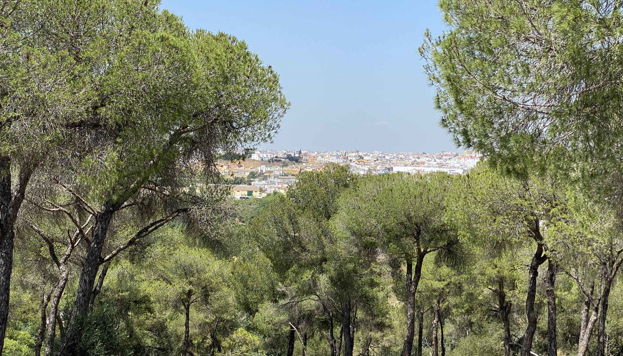 Anillo verde sevilla 2