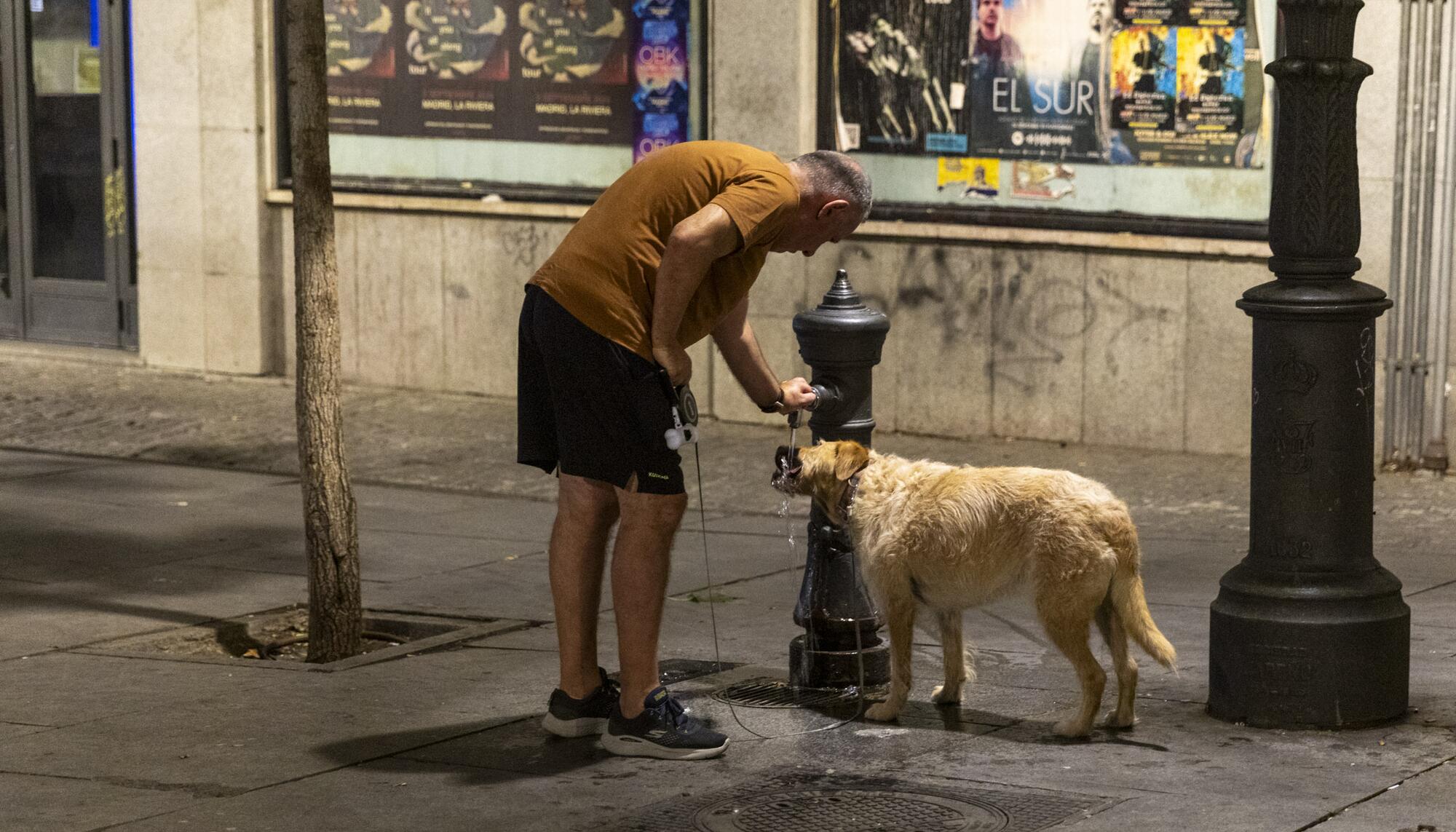 Galería Calor Madrid - 5