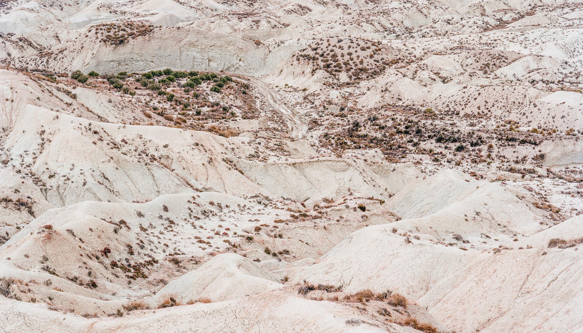 Árida: crisis climática y desertificación en el sureste ibérico - 8