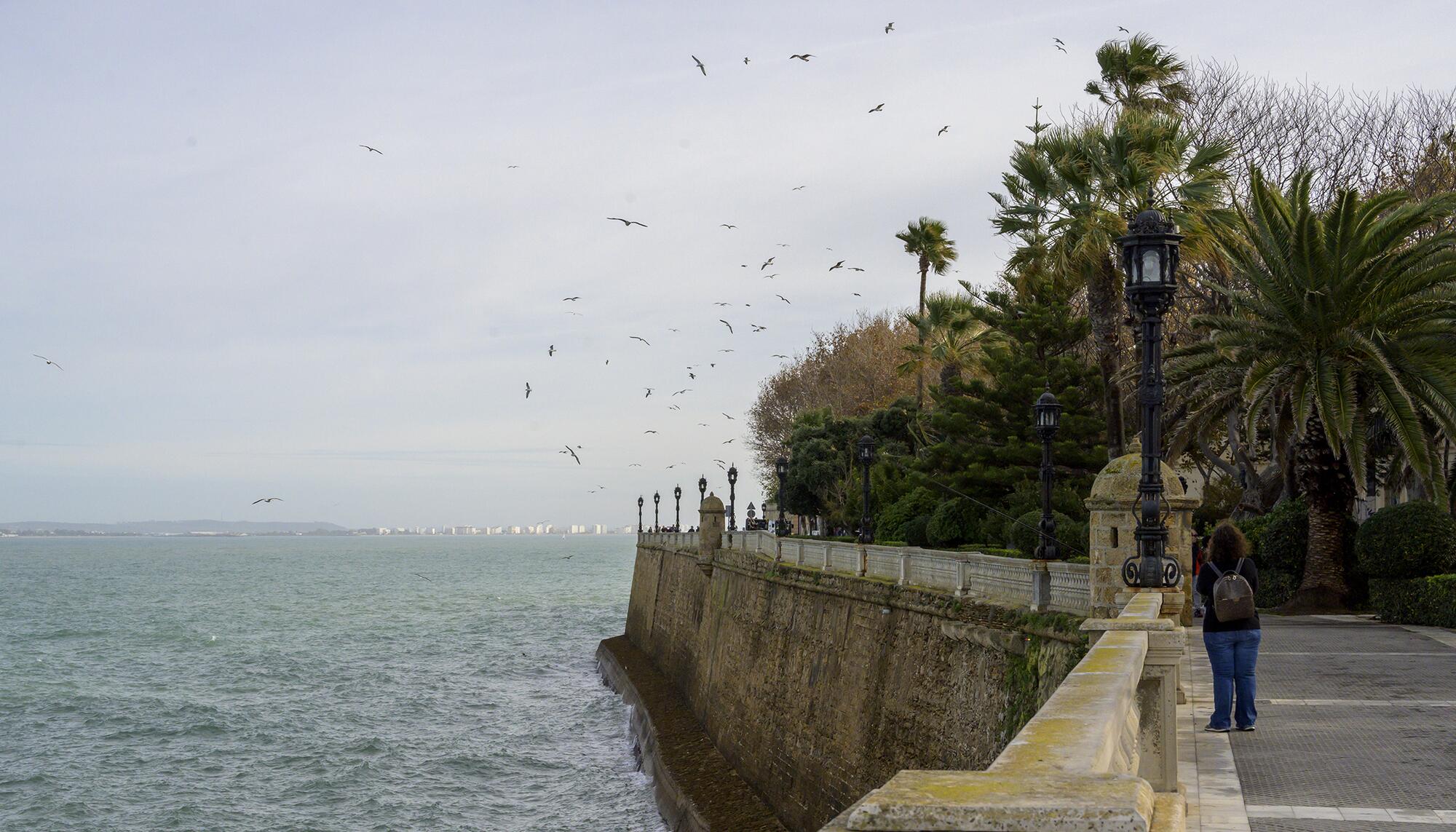 Cádiz recursos - 1