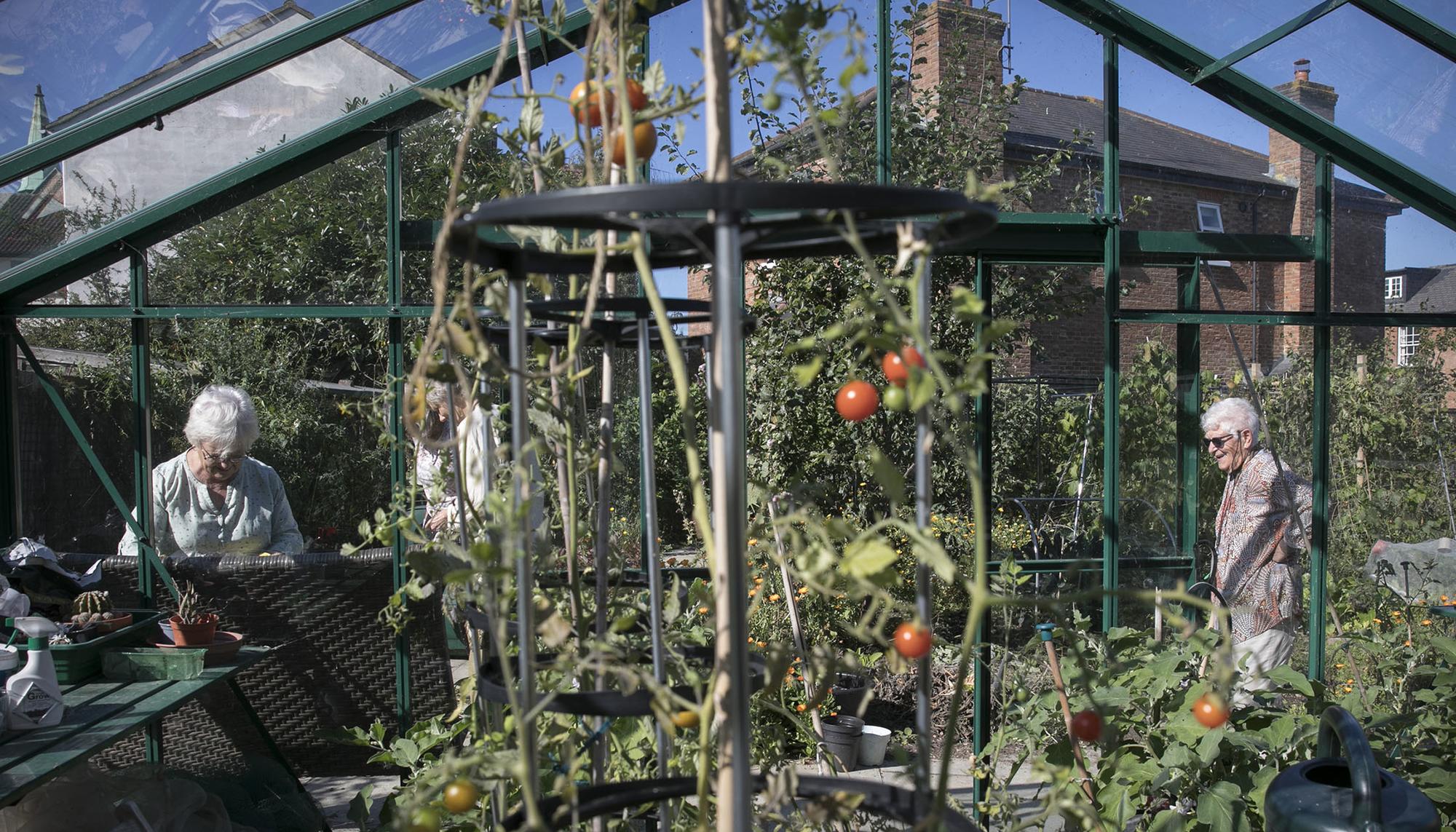 New Ground, proyecto de cohousing para mujeres mayores en el norte de Londres