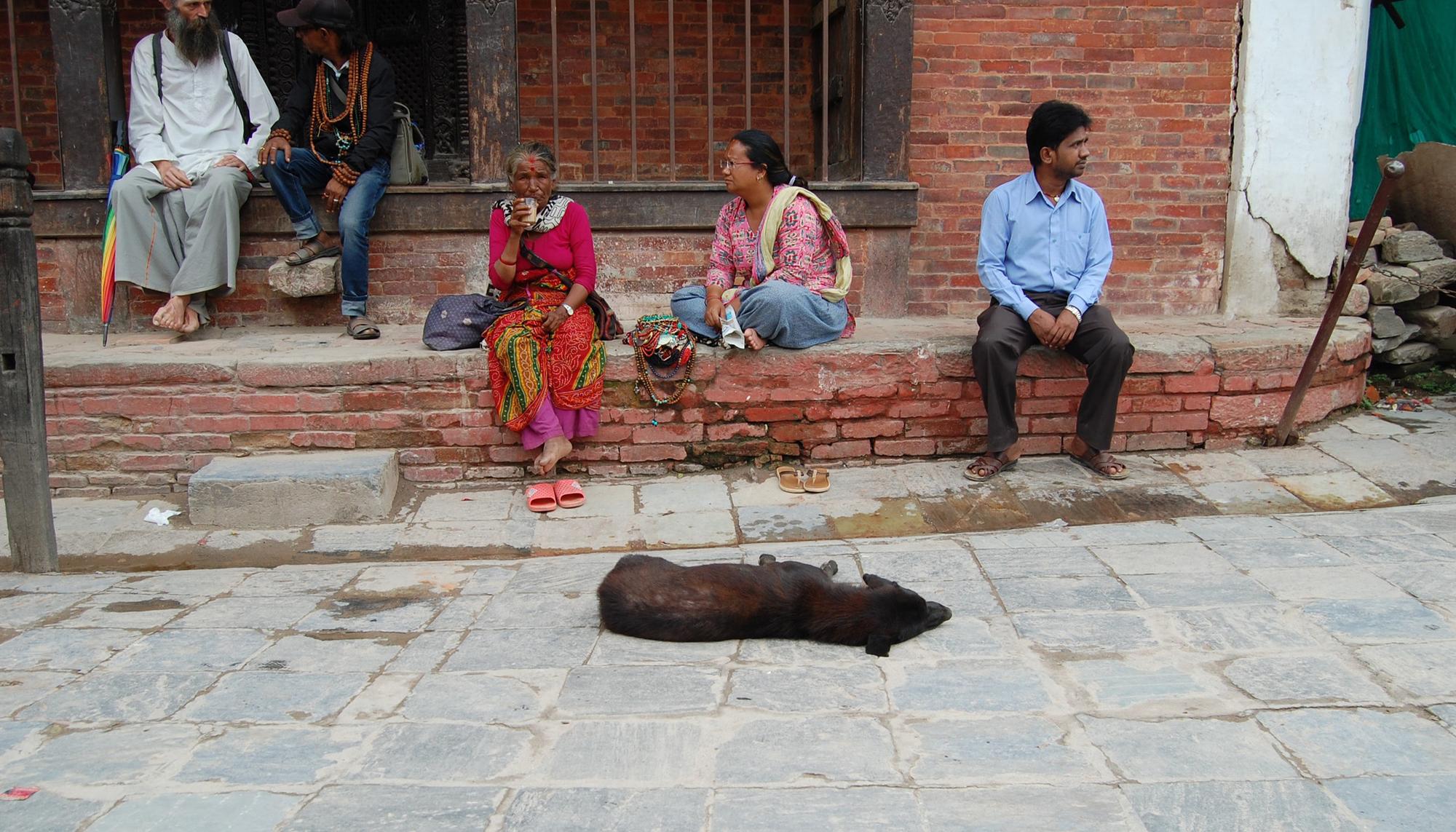 Perros en Nepal