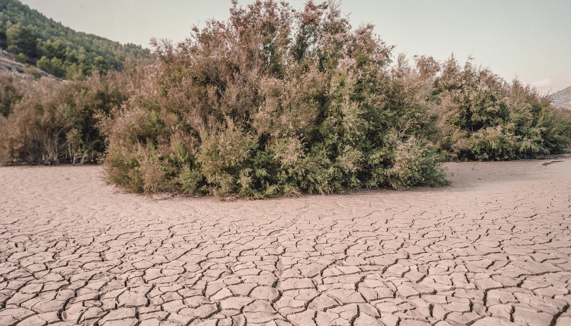 Árida: crisis climática y desertificación en el sureste ibérico - 6