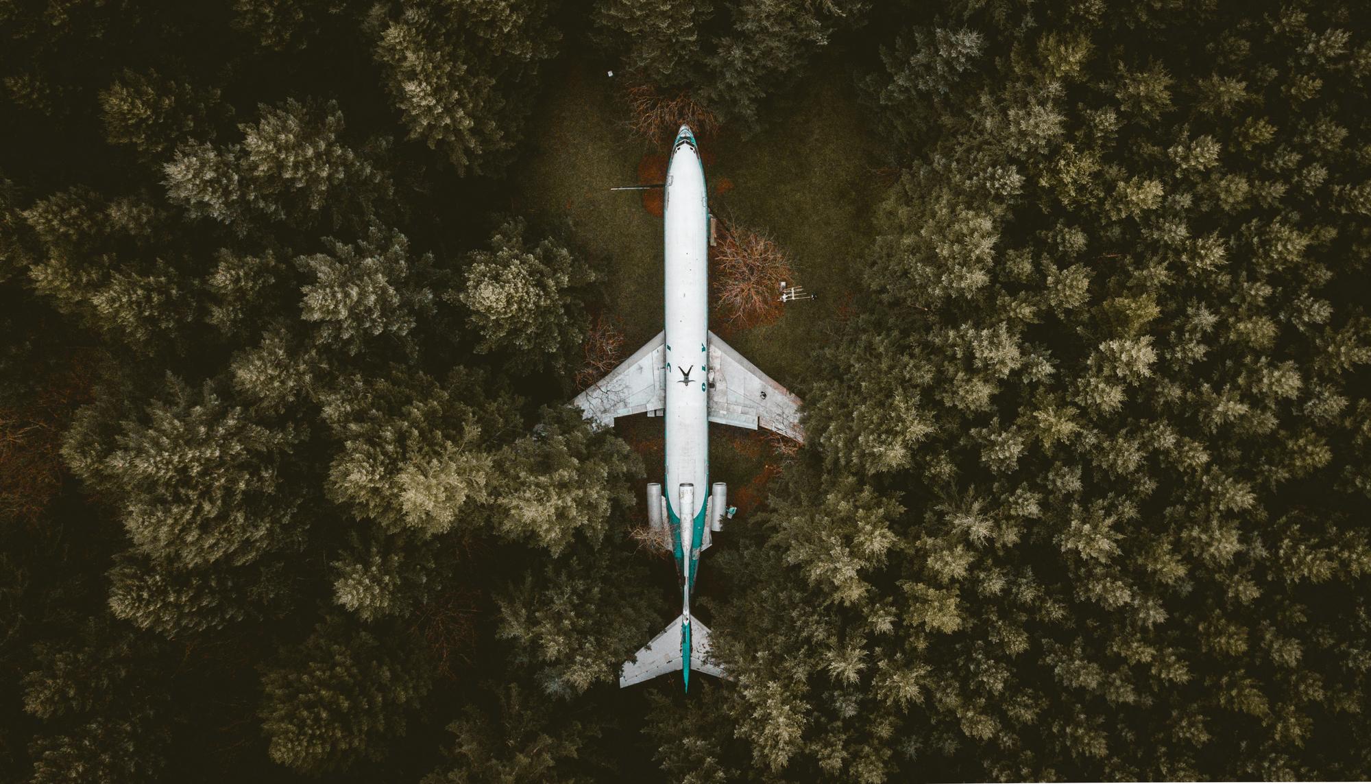 Rewilding plane