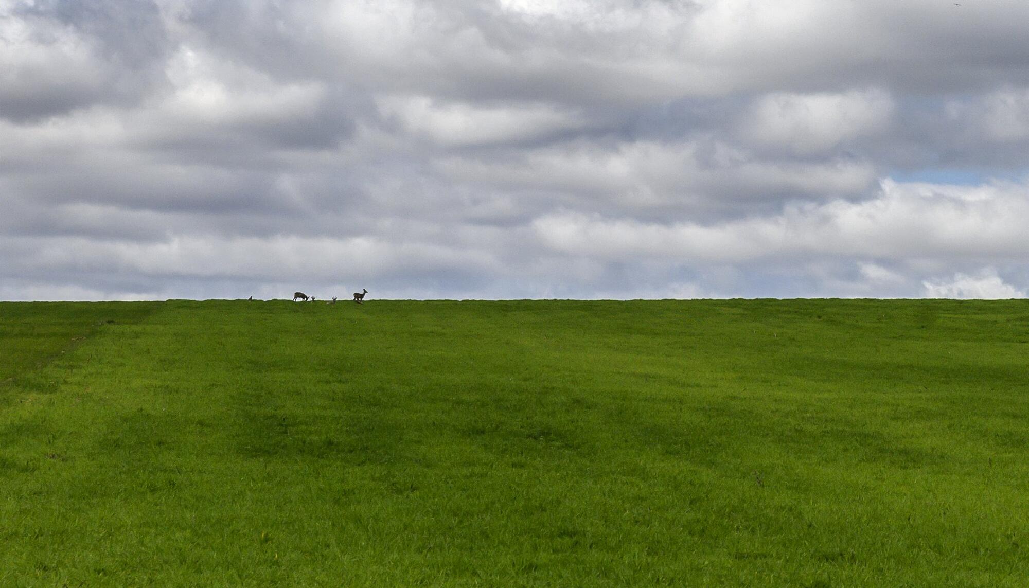 Recursos rural