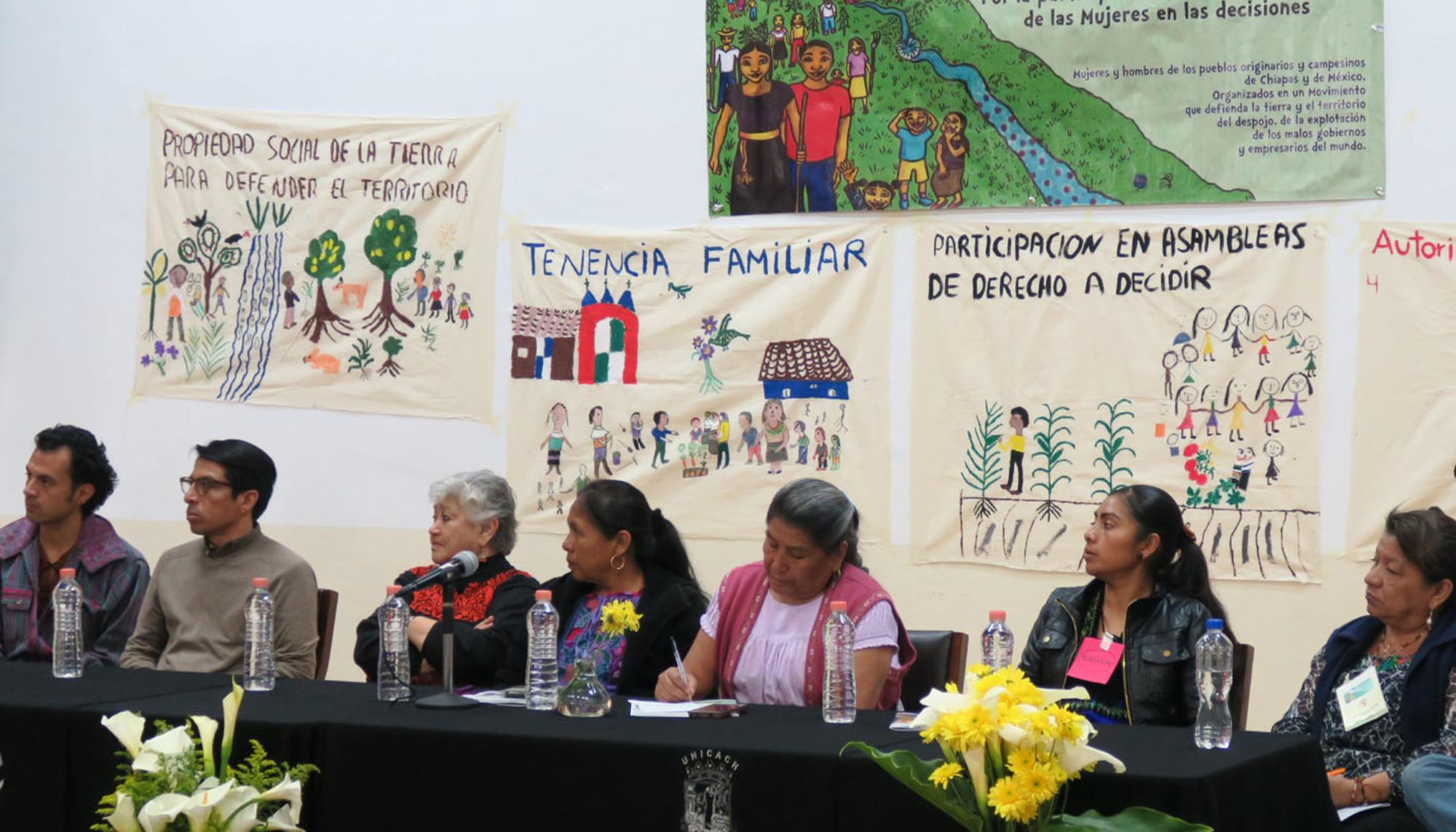CIG y organizaciones feministas y de mujeres. México.