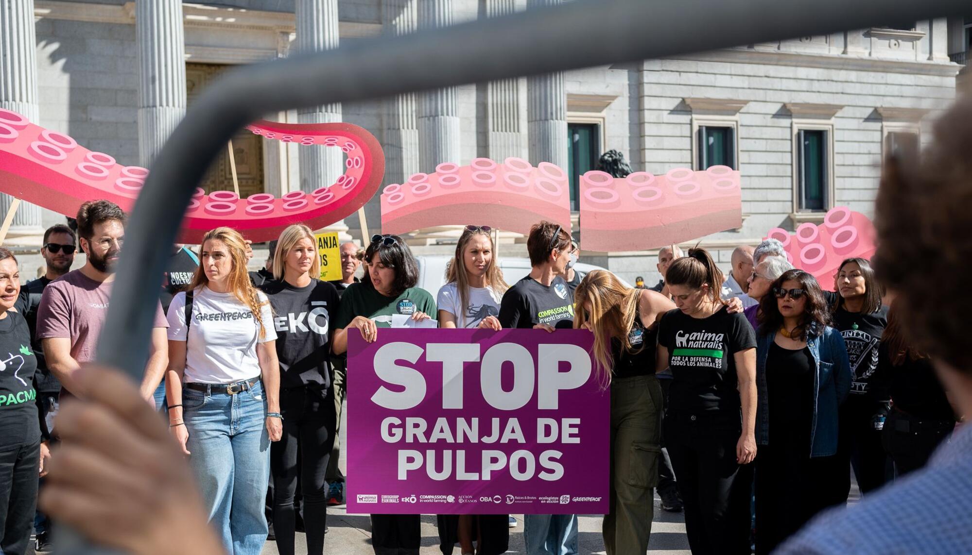 granja pulpos congreso