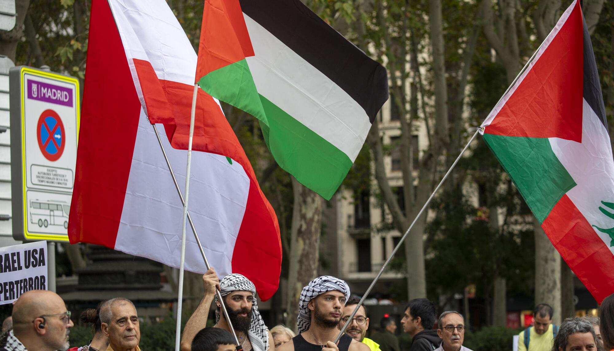 Manifestación Palestina 05-10-24 - 3