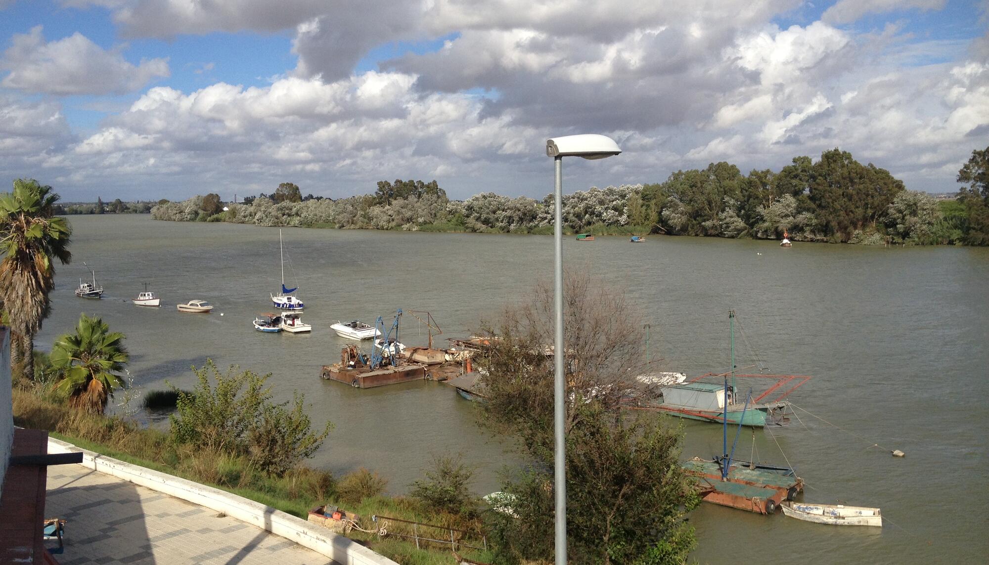 Estuario del Guadalquivir 2