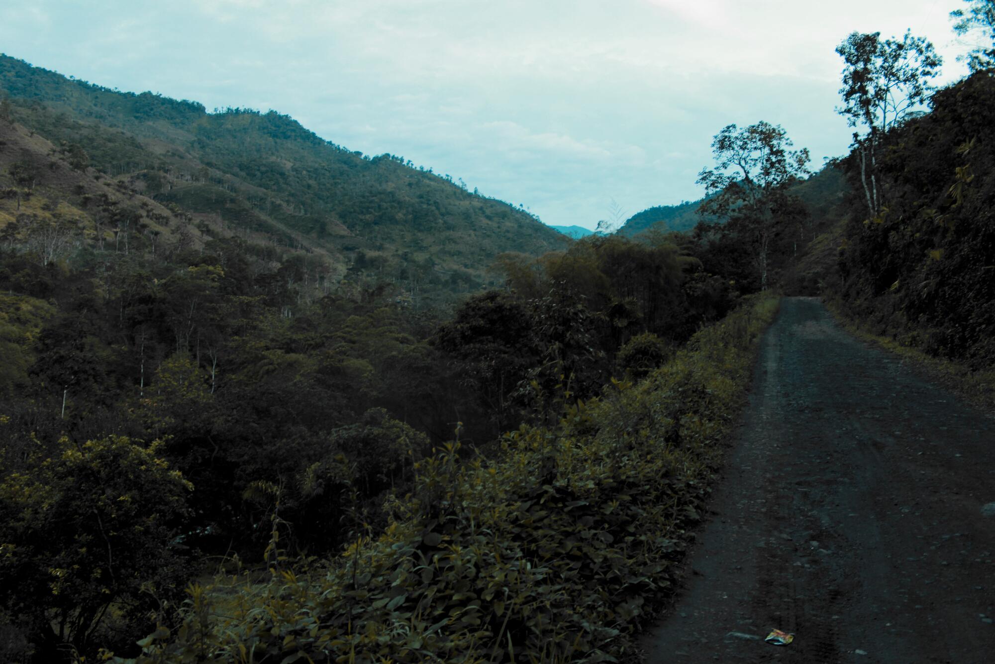 Carretera desde Chontal hacia Brilla Sol en la Amazonía ecuatoria.