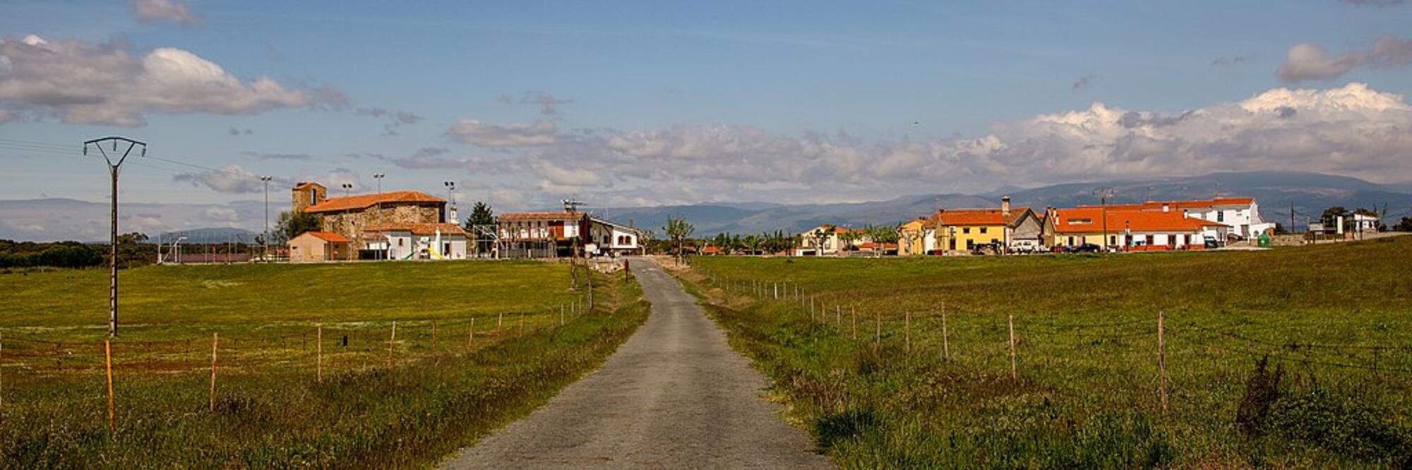 Toril Campo Arañuelo