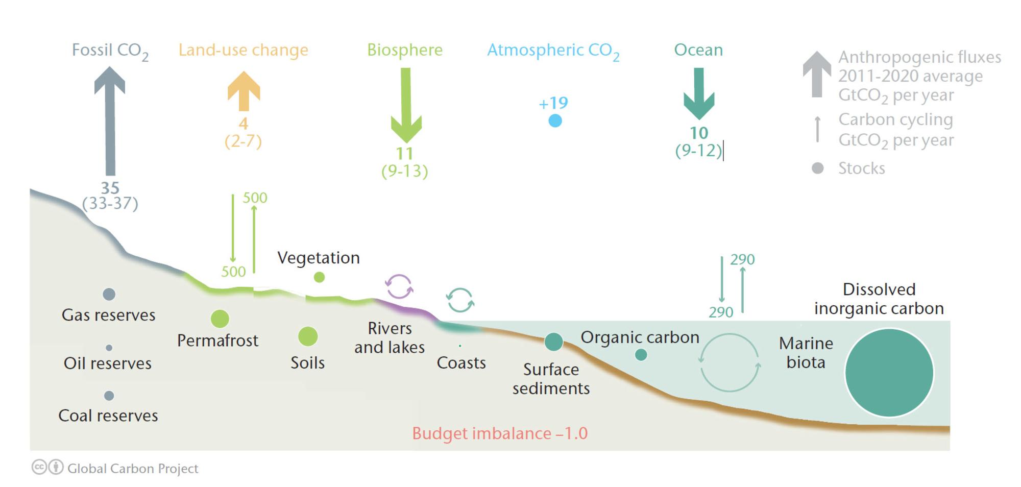 Global Carbon Network