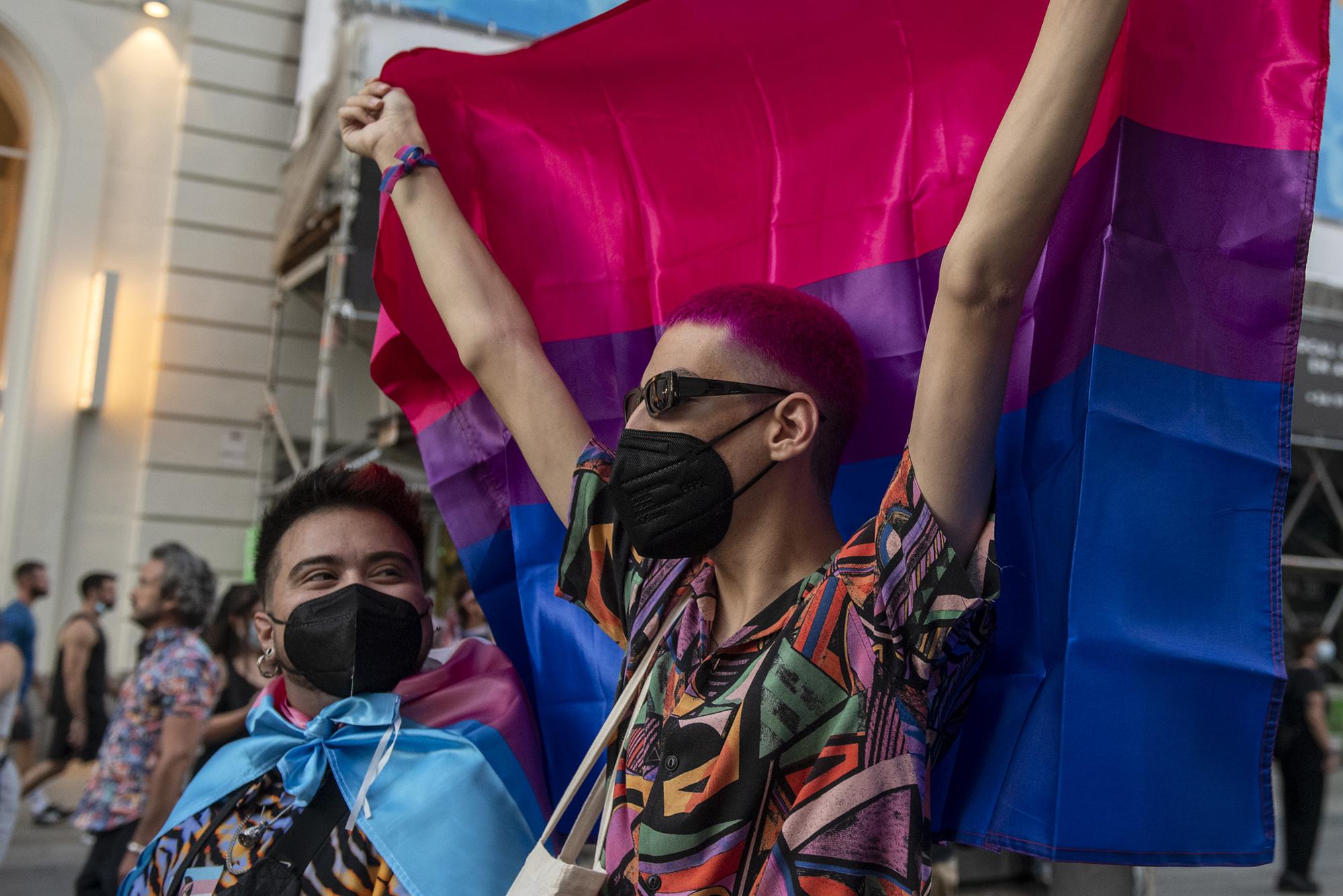 Bandera bisexual