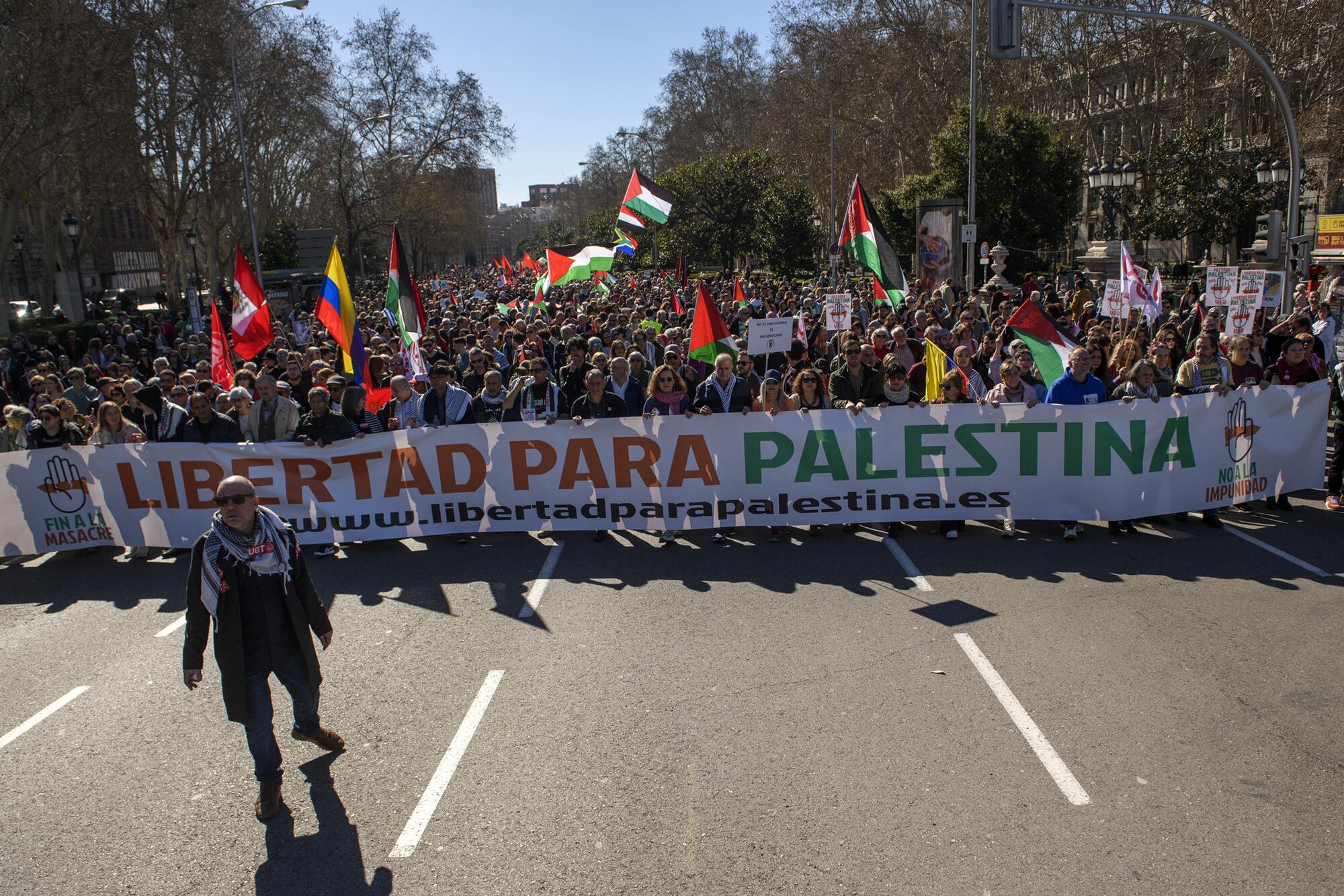 Manifestación del 17 de febrero "Libertad para Palestina" convocada por Sumar, IU, Más País, PCE y los grandes sindicatos. El PSOE apoyó la manifestación como "participante". - 2