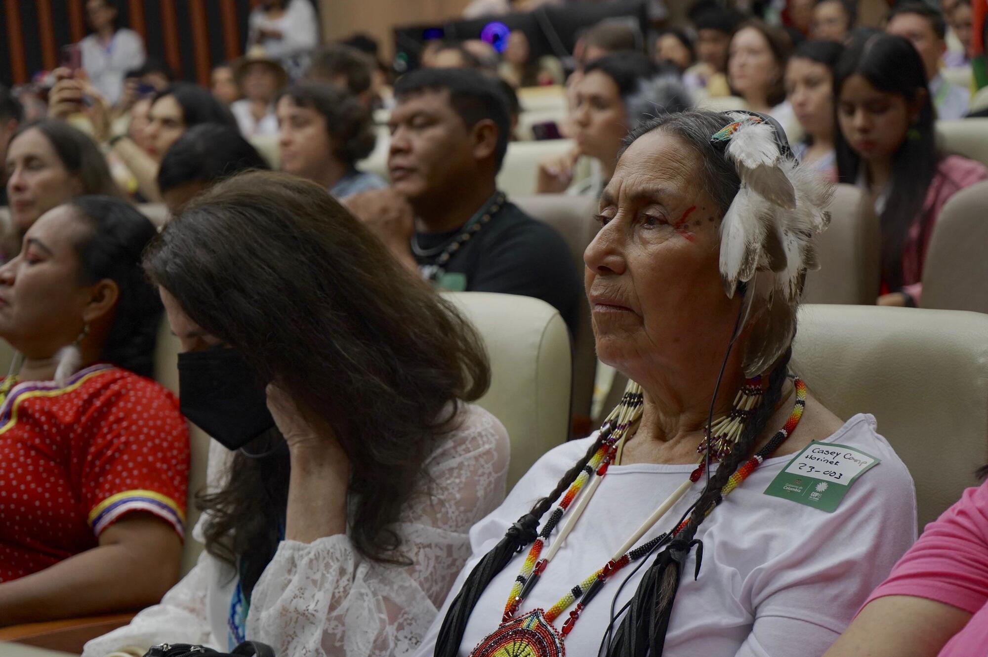 cop16 declaracion amazonas