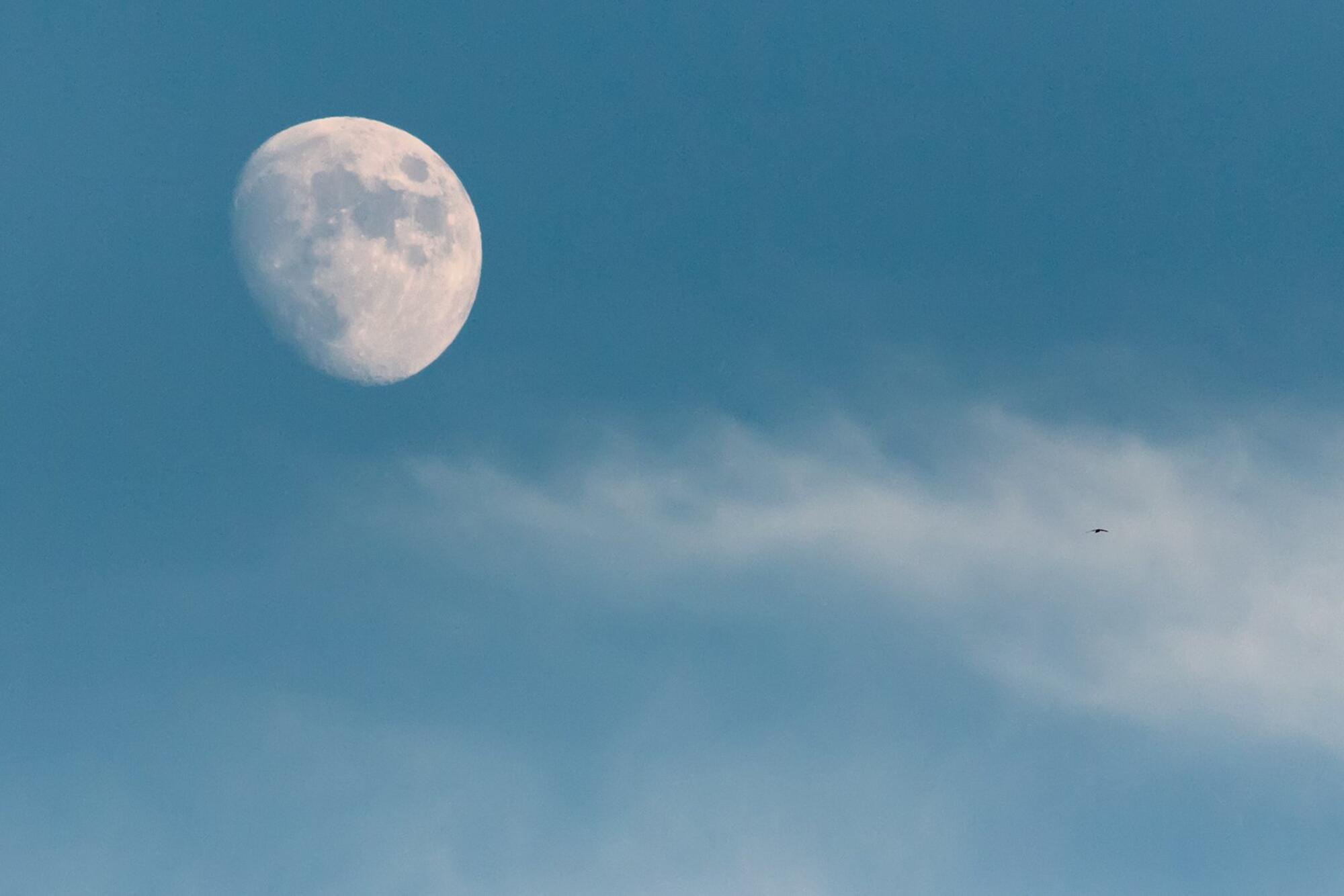 Luna. Astronomía. Espacio. Cielo.