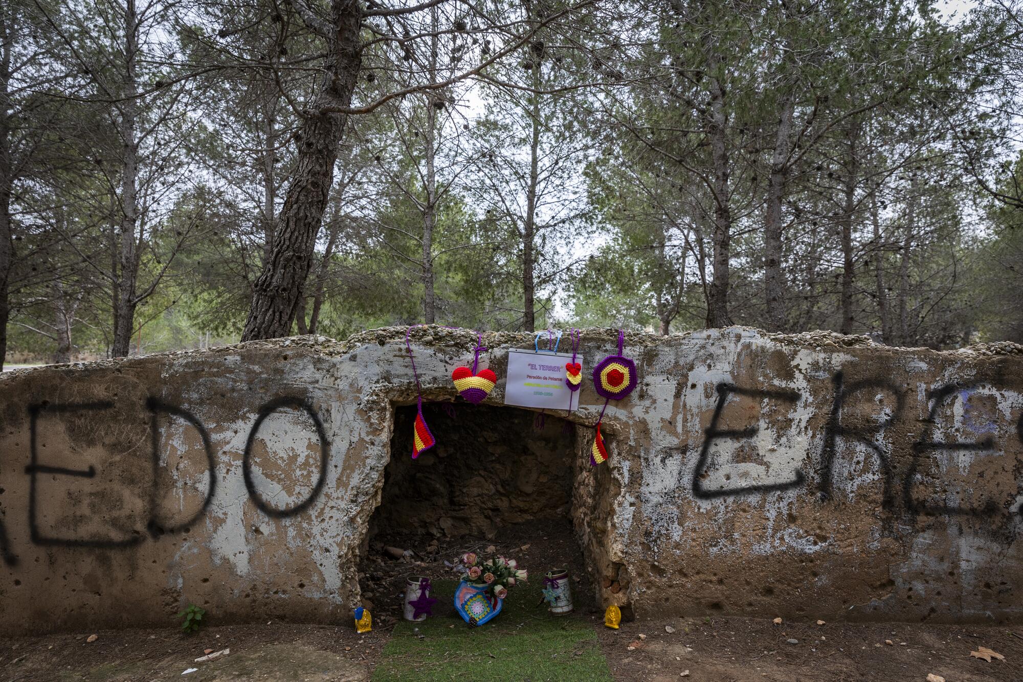 Muro Paterna detalle