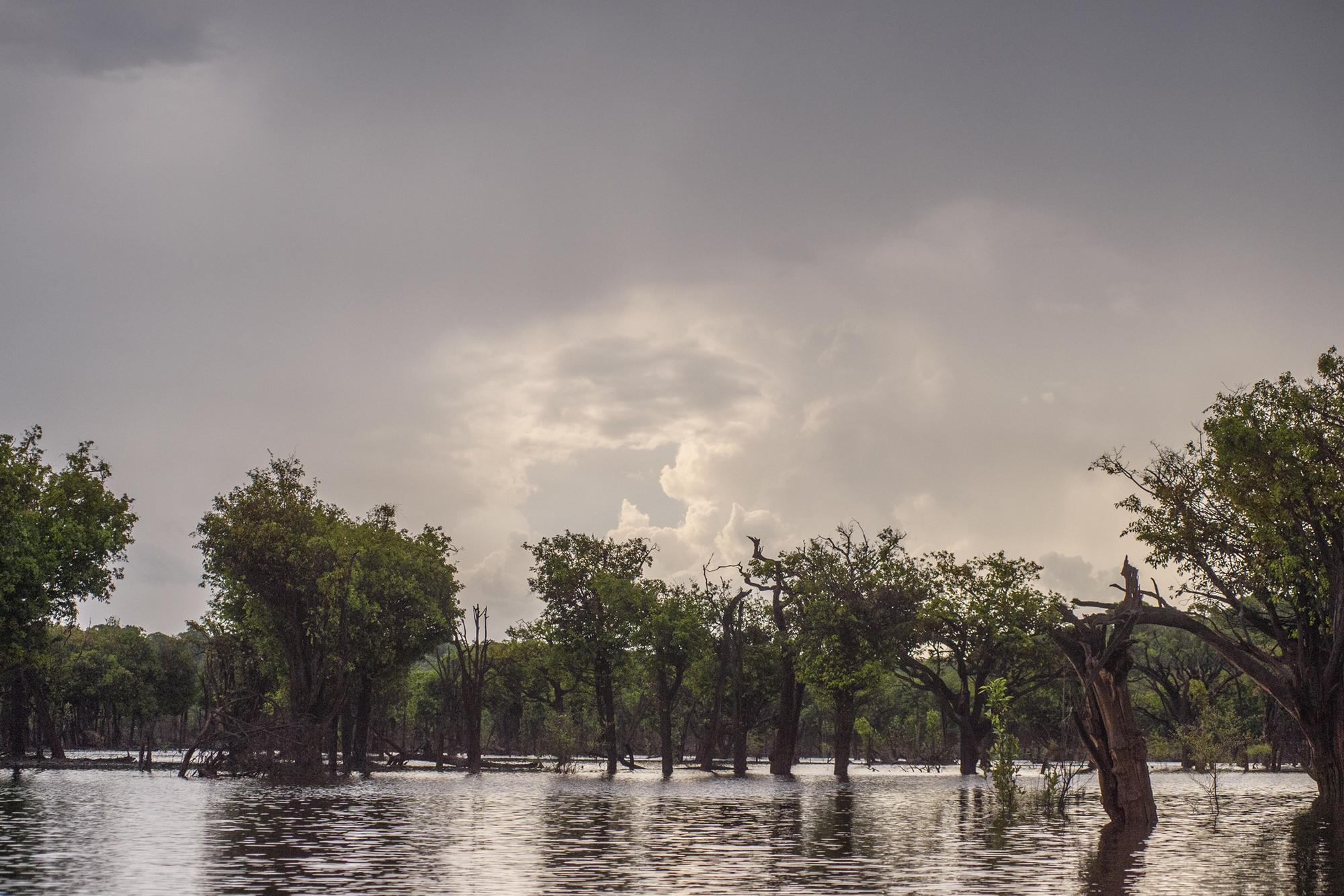 Amazonas rio - 1