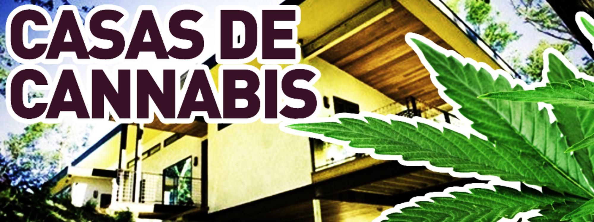 casas de cannabis