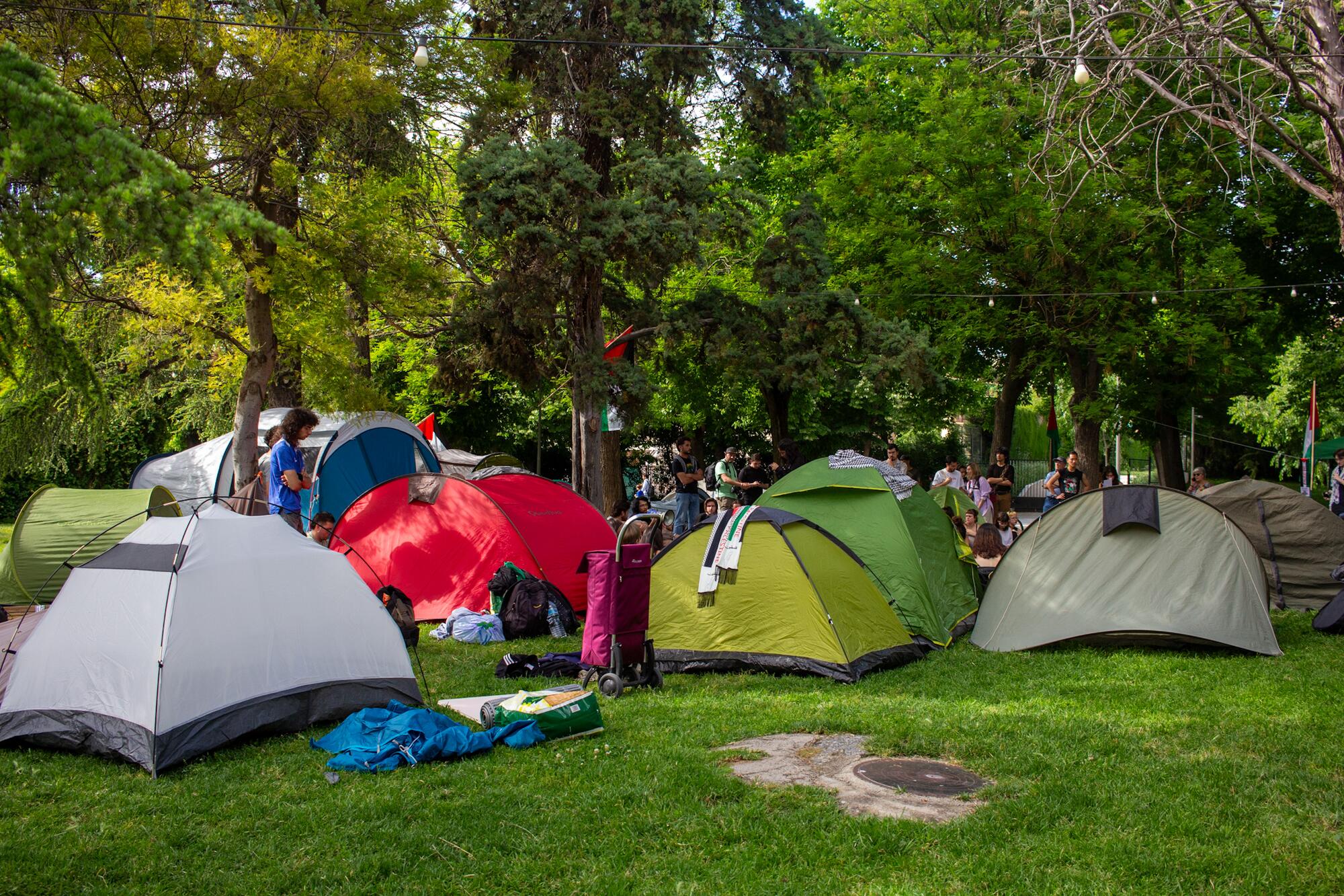 Acampada Granada - 1