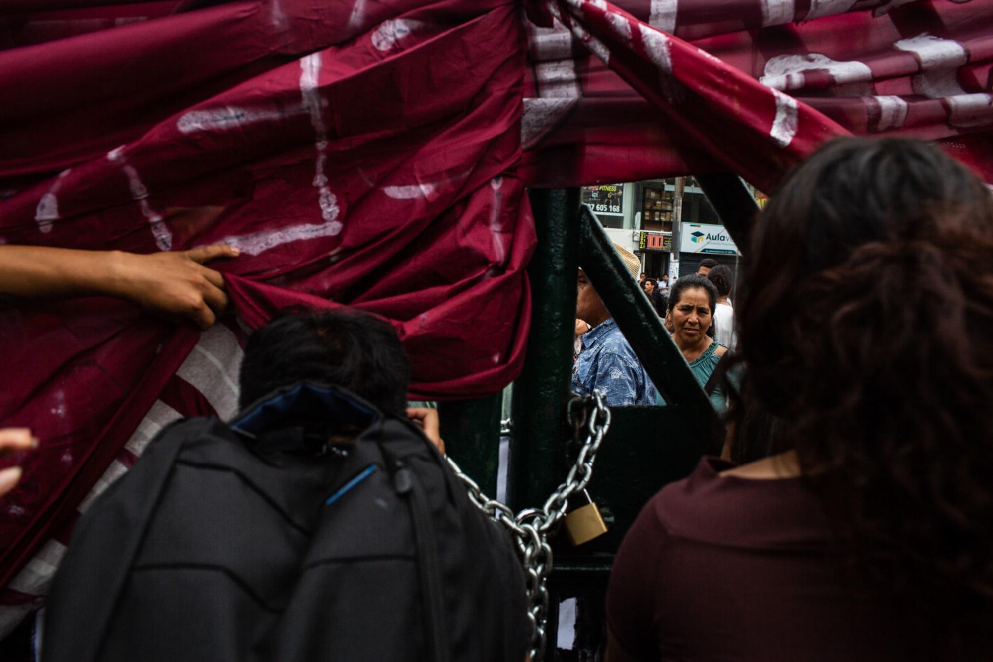 Marcha provincias Perú - 5