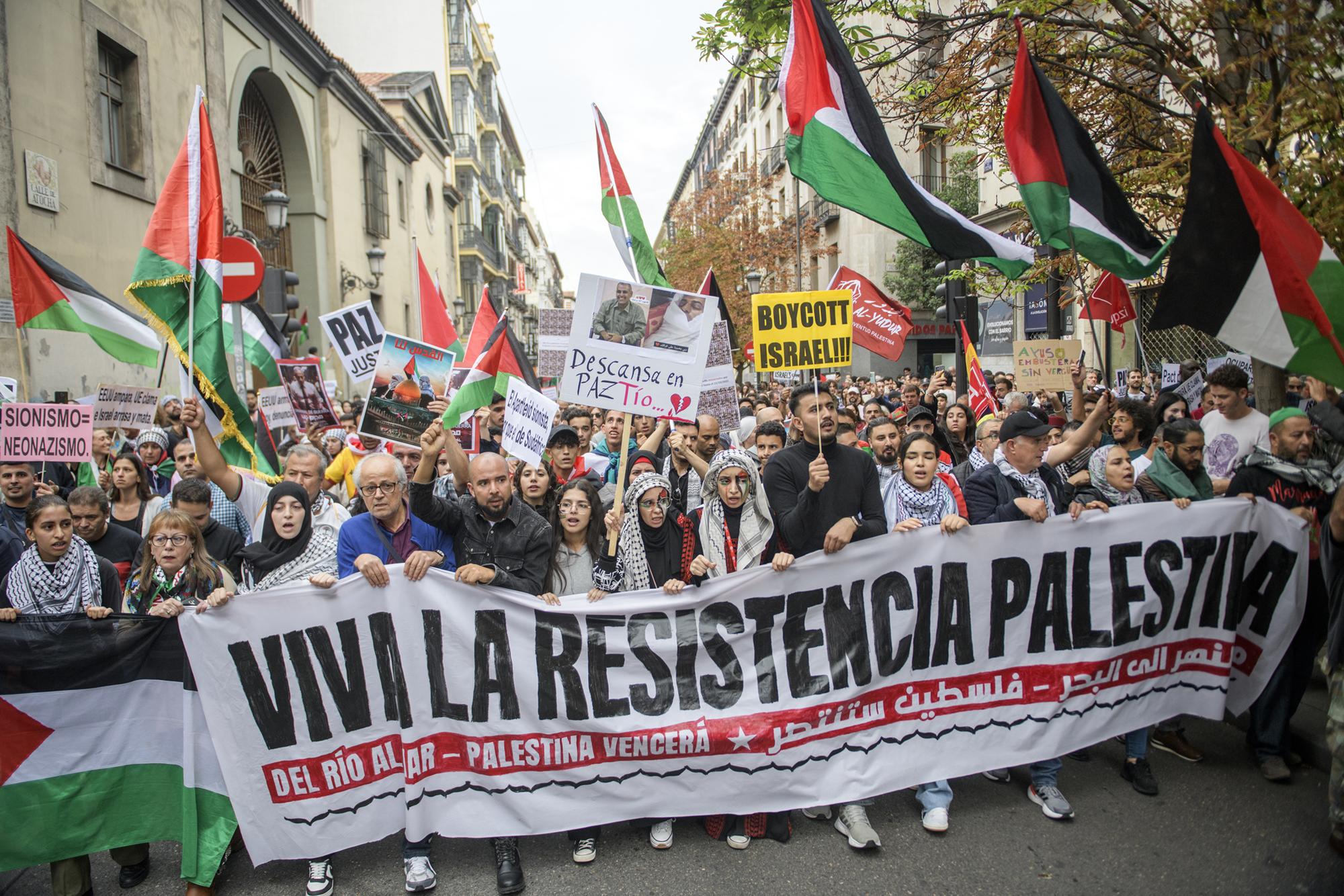 Manifestación Gaza Madrid Atocha - 8