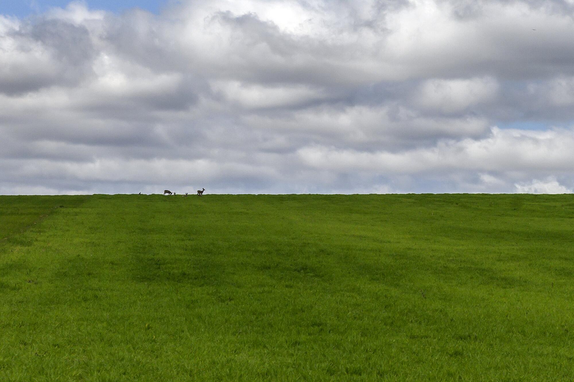 Recursos rural