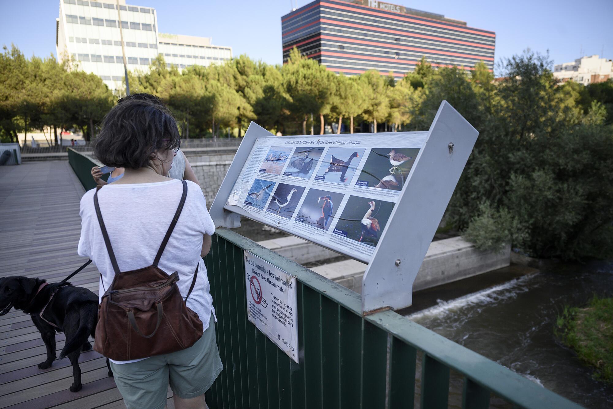 Paseo Madrid Rio luces - 8