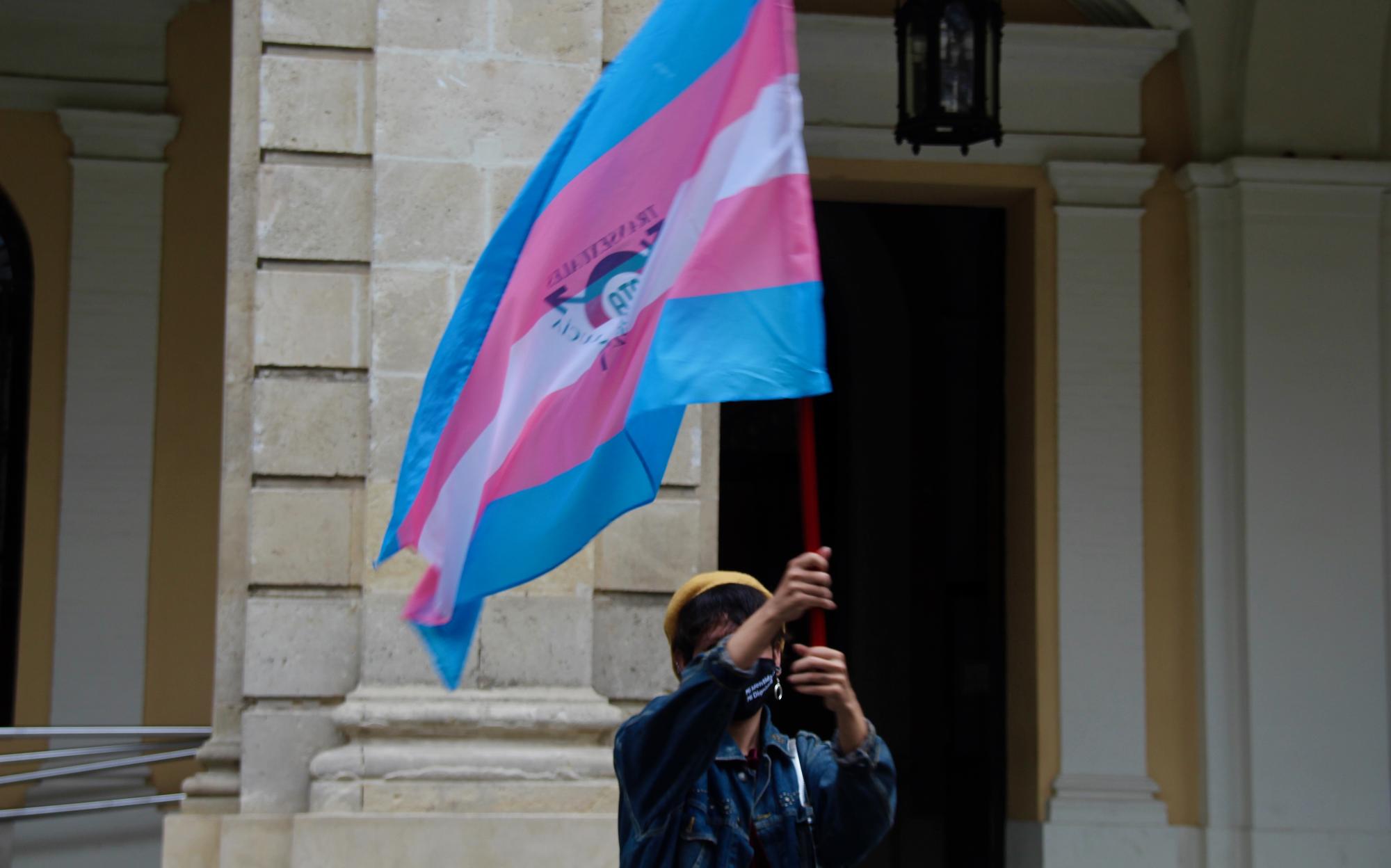 Manifestante con bandera trans