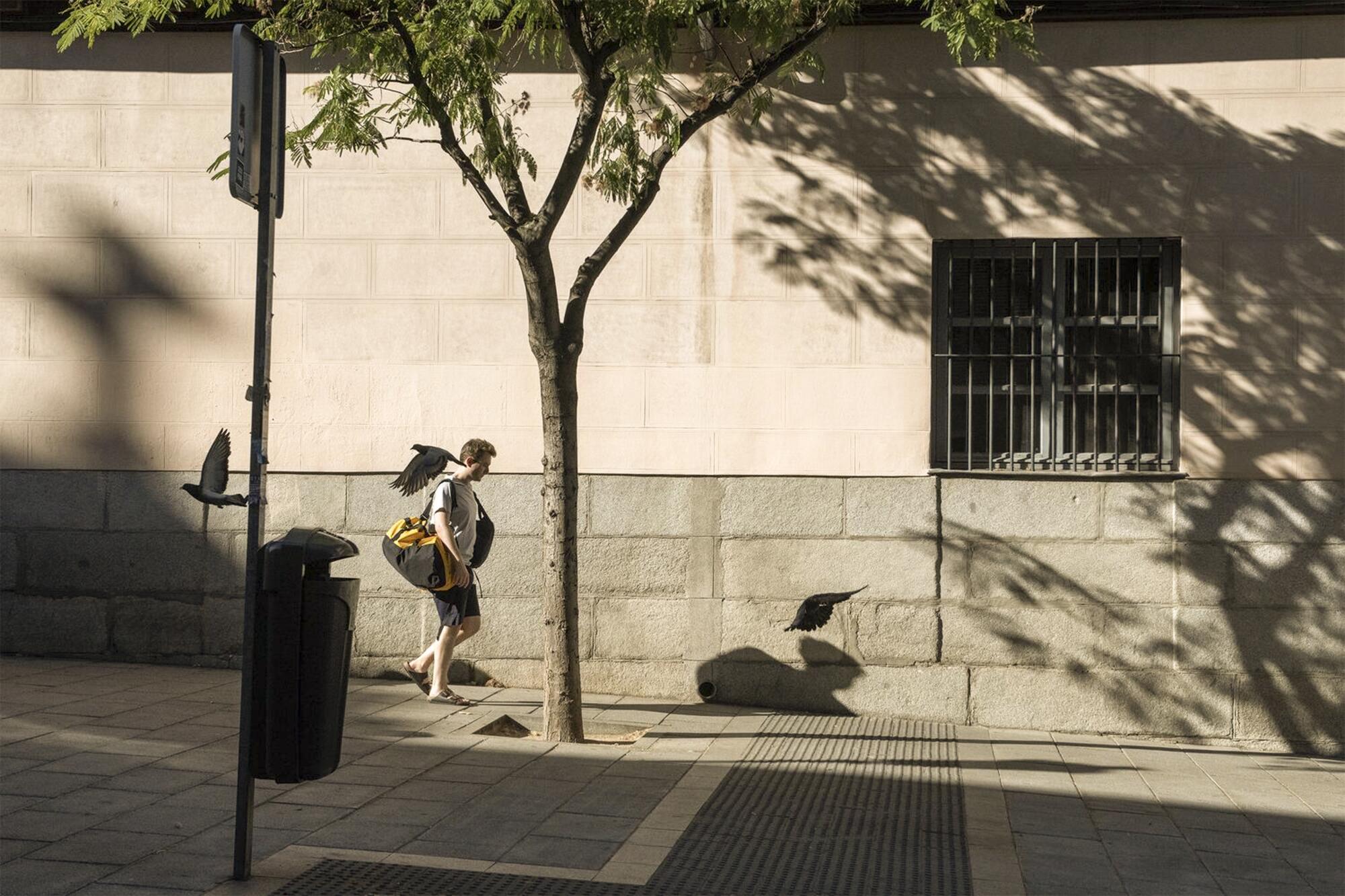 Calor en Madrid